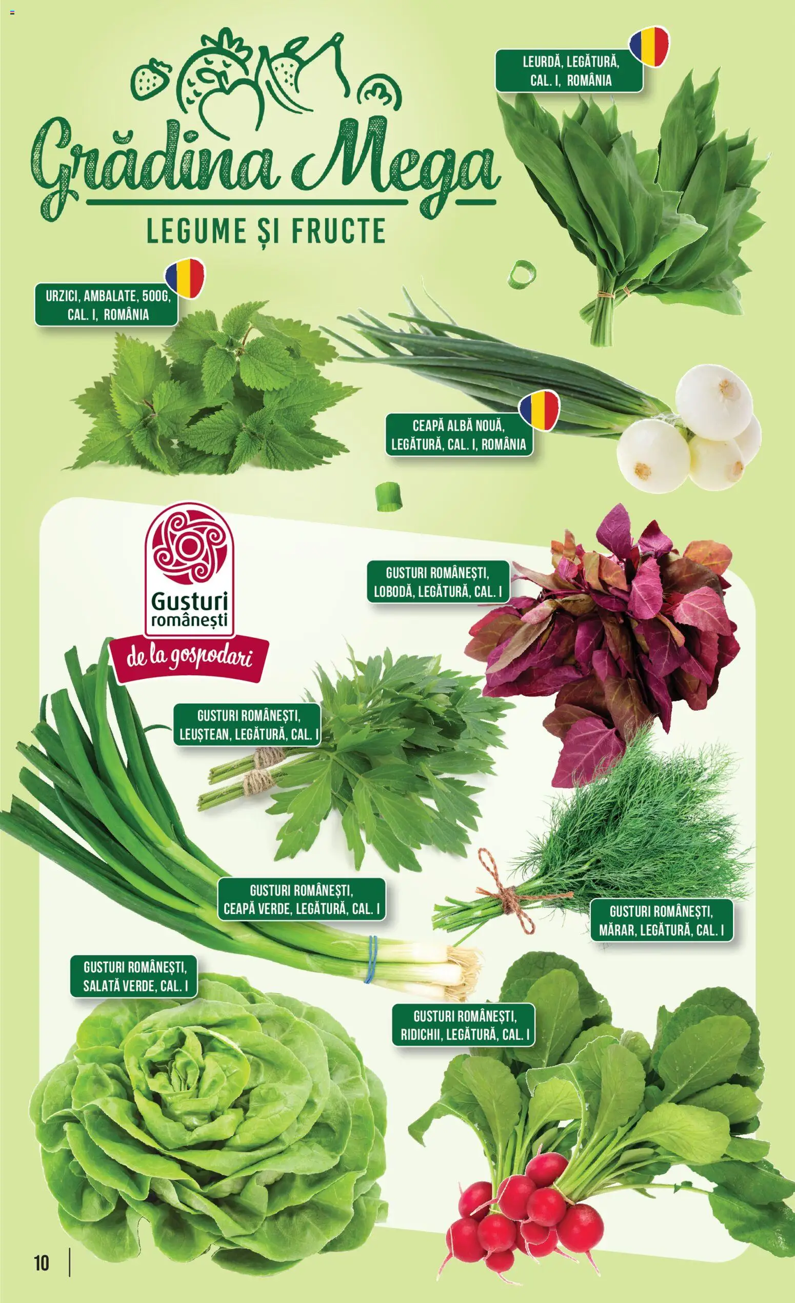 Catalog Mega Image 16 - 21 Aprilie 2026 | Pagina 10 | Produse: Salată, Ceapă, Legume, Fructe