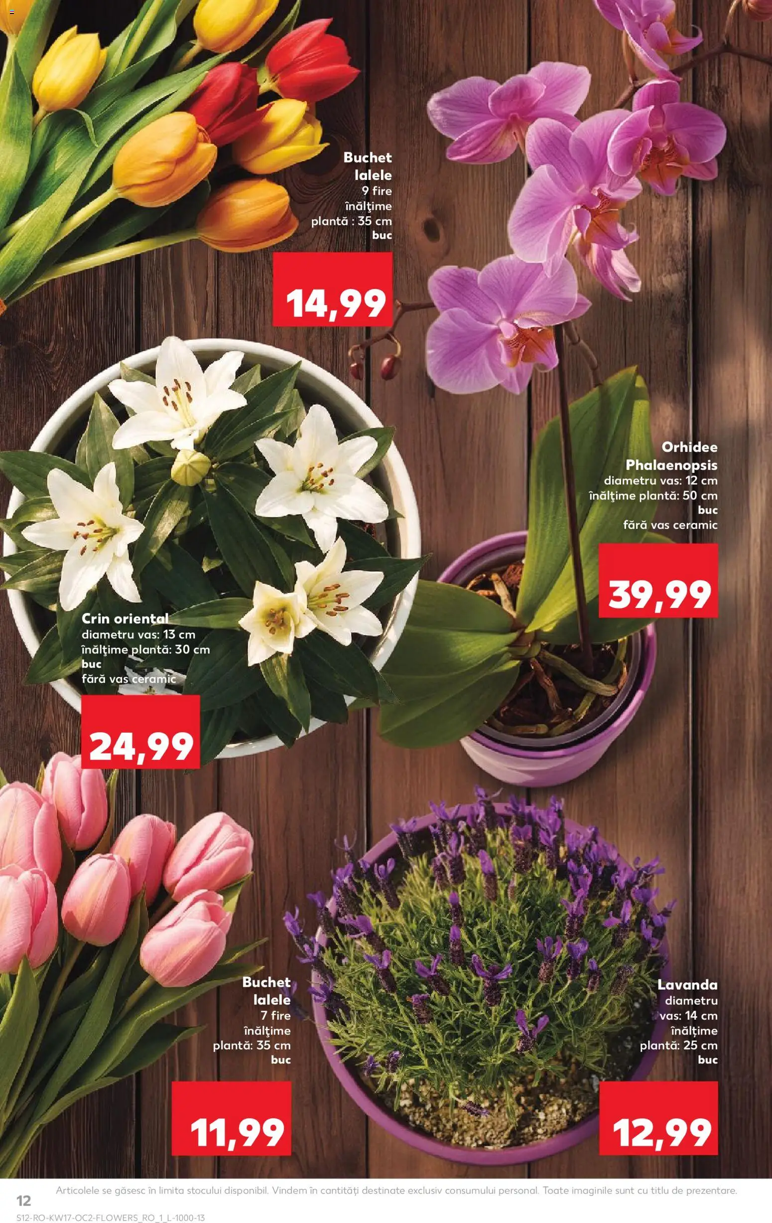 Catalog Kaufland 22 - 27 Aprilie 2026 | Pagina 12 | Produse: Orhidee