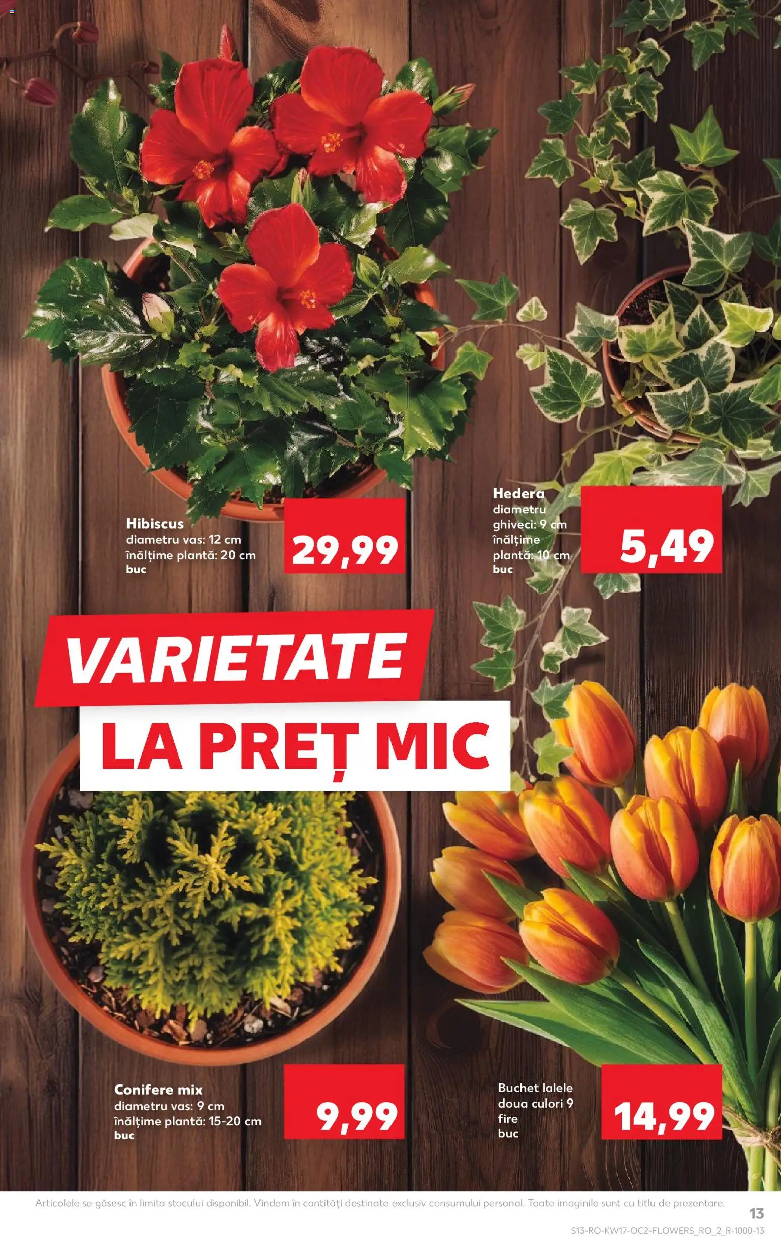 Catalog Kaufland 22 - 27 Aprilie 2026 | Pagina 13 | Produse: Ghiveci