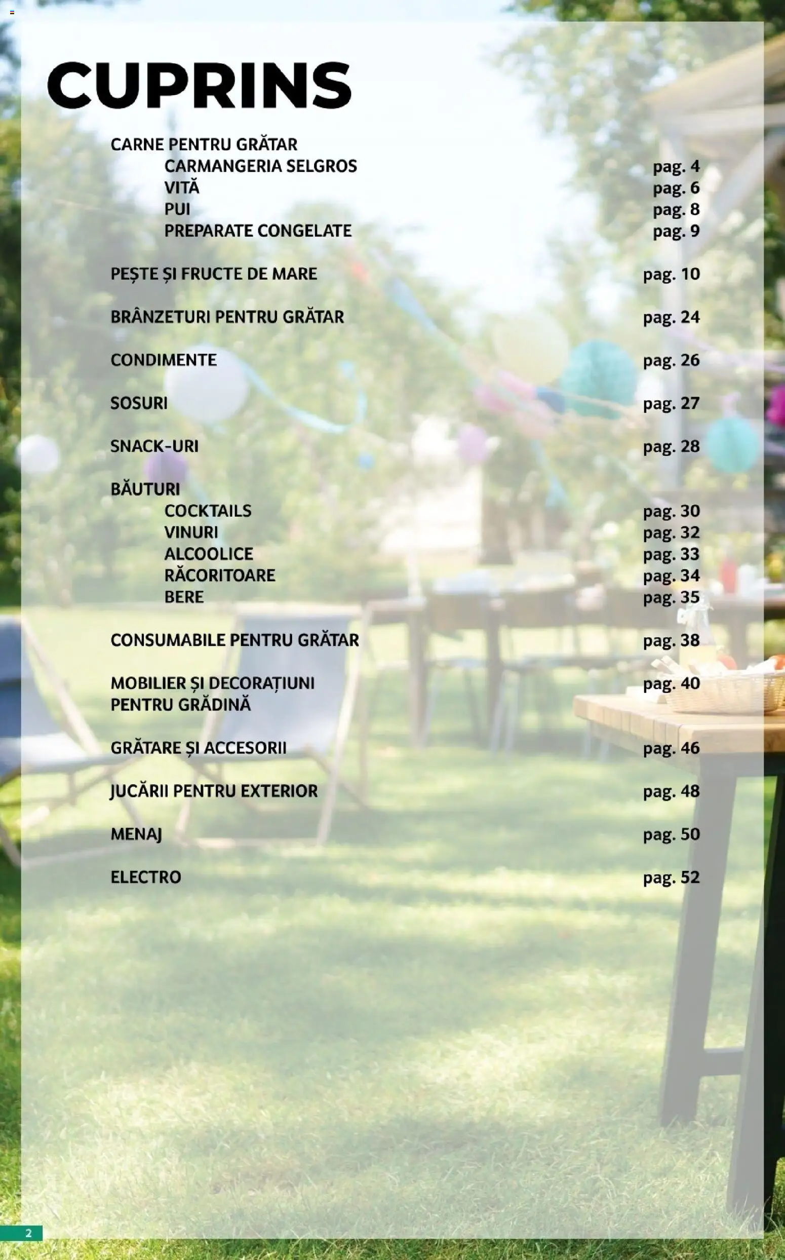 Catalog Selgros 17 Aprilie - 13 Mai 2026 | Pagina 2