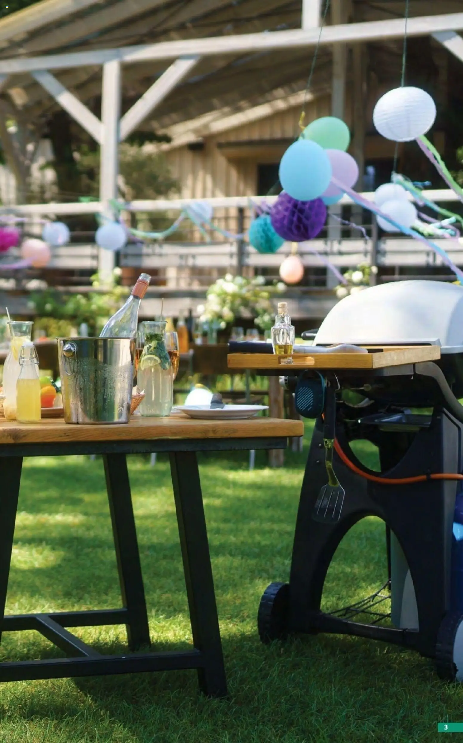 Catalog Selgros 17 Aprilie - 13 Mai 2026 | Pagina 3