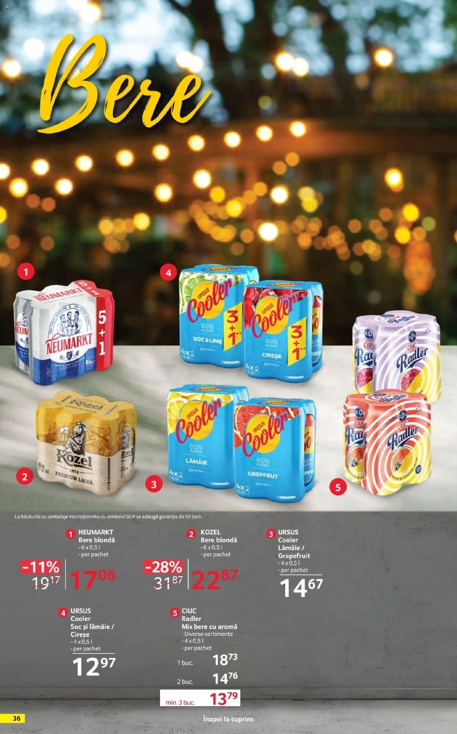 Catalog Selgros 17 Aprilie - 13 Mai 2026 | Pagina 36