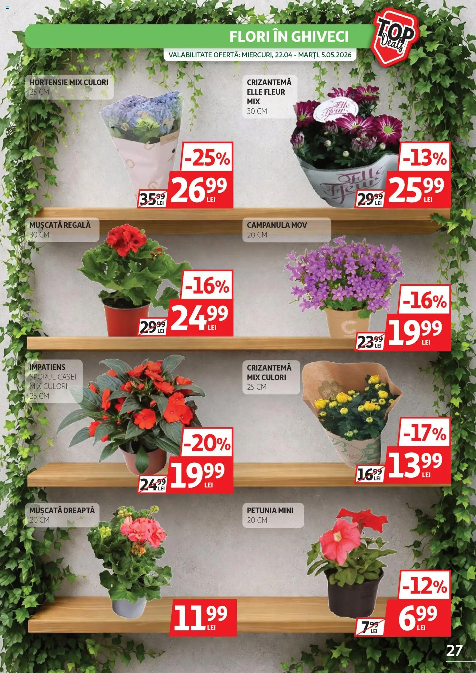 Catalog Auchan 22 Aprilie - 4 Mai 2026 | Pagina 27 | Produse: Ghiveci