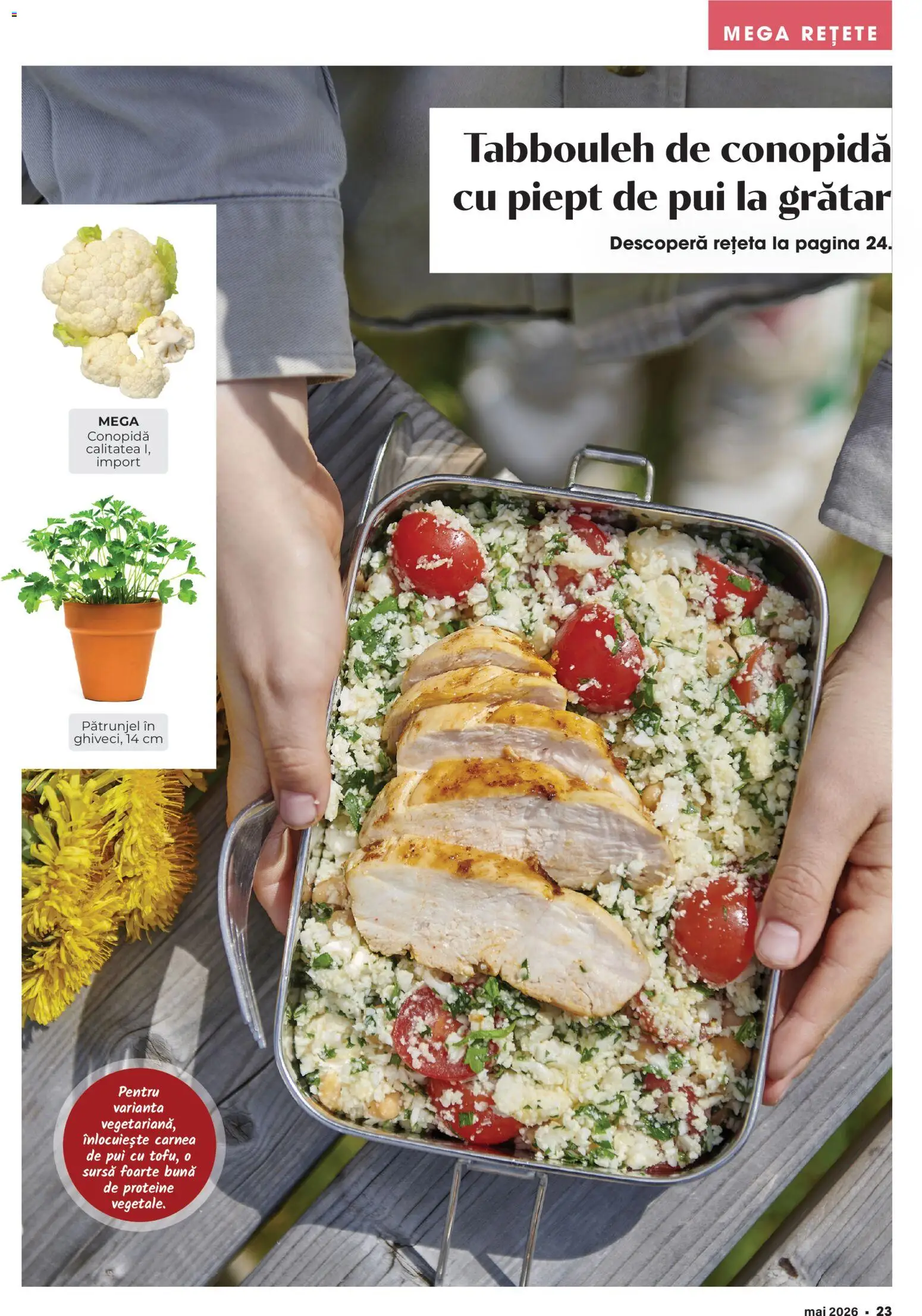 Catalog Mega Image 23 Aprilie - 25 Mai 2026 | Pagina 23 | Produse: Pătrunjel, Masaüstü kılıfı, Grătar, Hacıyatmaz Kedi Oyuncağı
