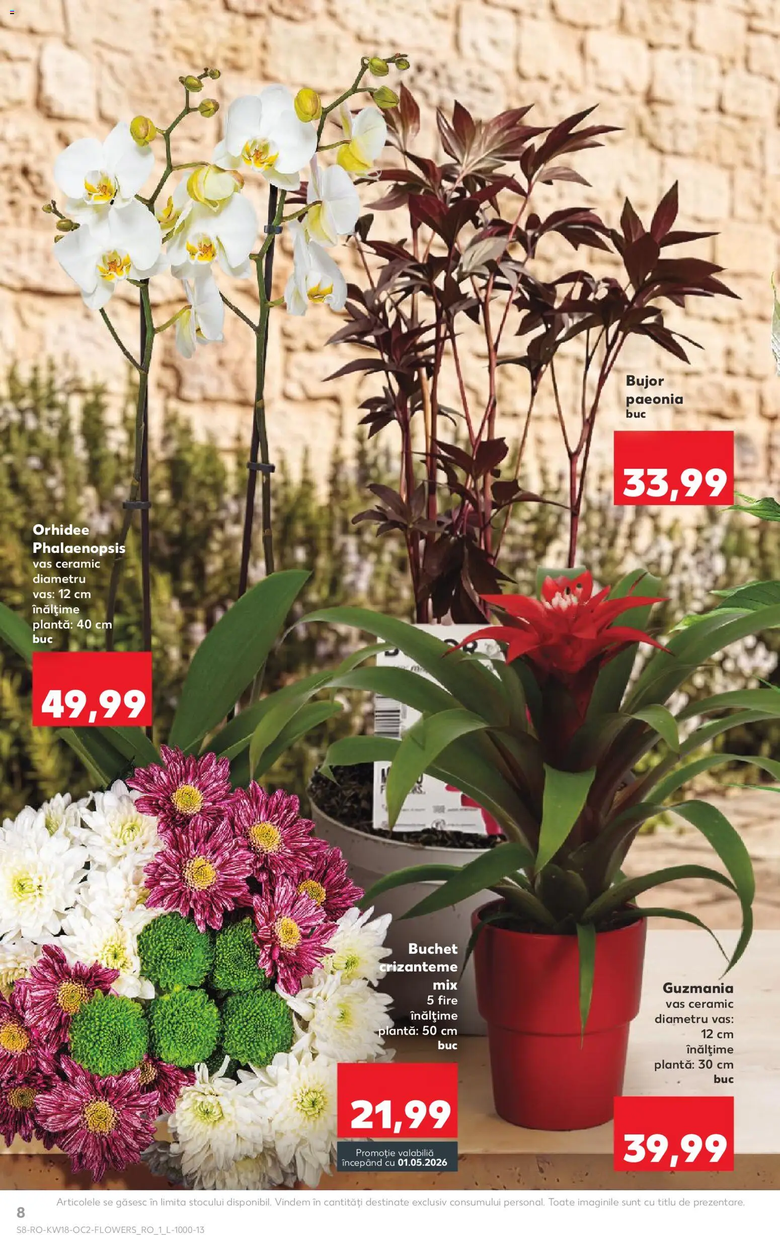 Catalog Kaufland 29 Aprilie - 4 Mai 2026 | Pagina 8 | Produse: Orhidee