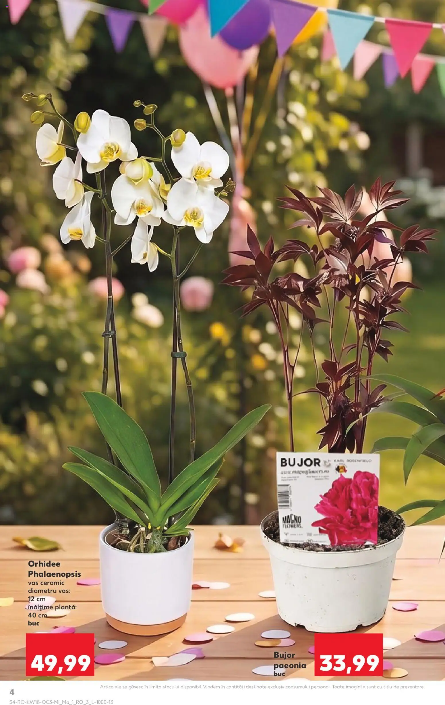 Catalog Kaufland 29 Aprilie - 4 Mai 2026 | Pagina 4 | Produse: Orhidee