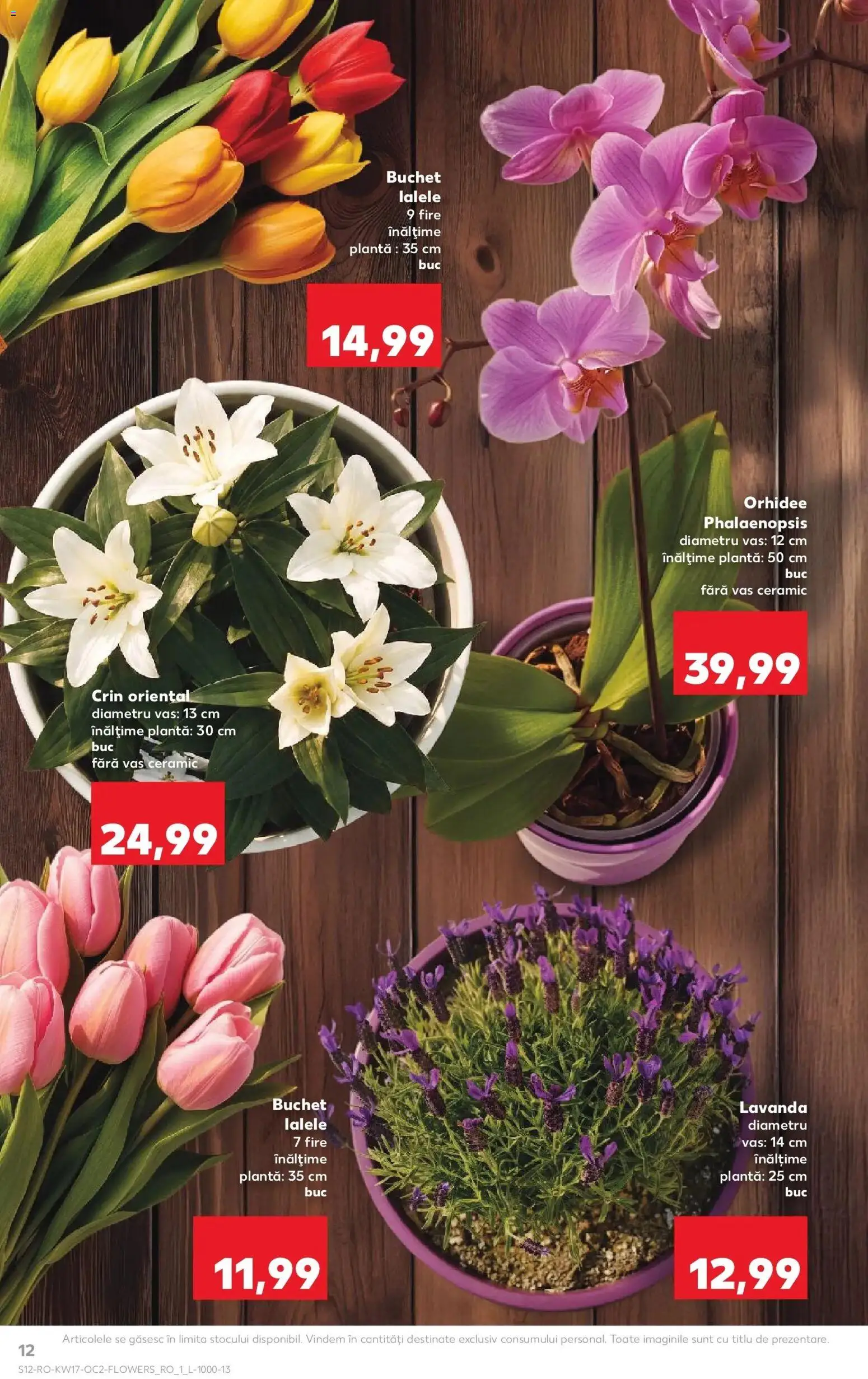 Catalog Kaufland 22 - 27 Aprilie 2026 | Pagina 12 | Produse: Orhidee