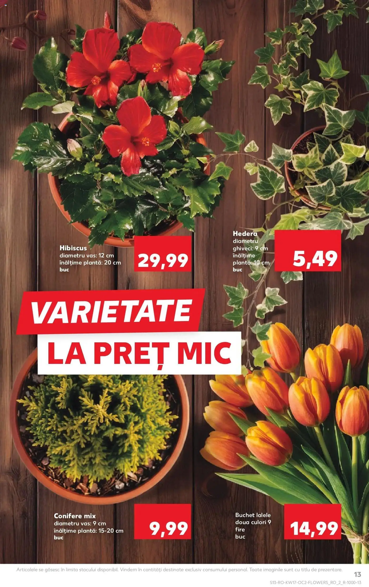 Catalog Kaufland 22 - 27 Aprilie 2026 | Pagina 13 | Produse: Ghiveci