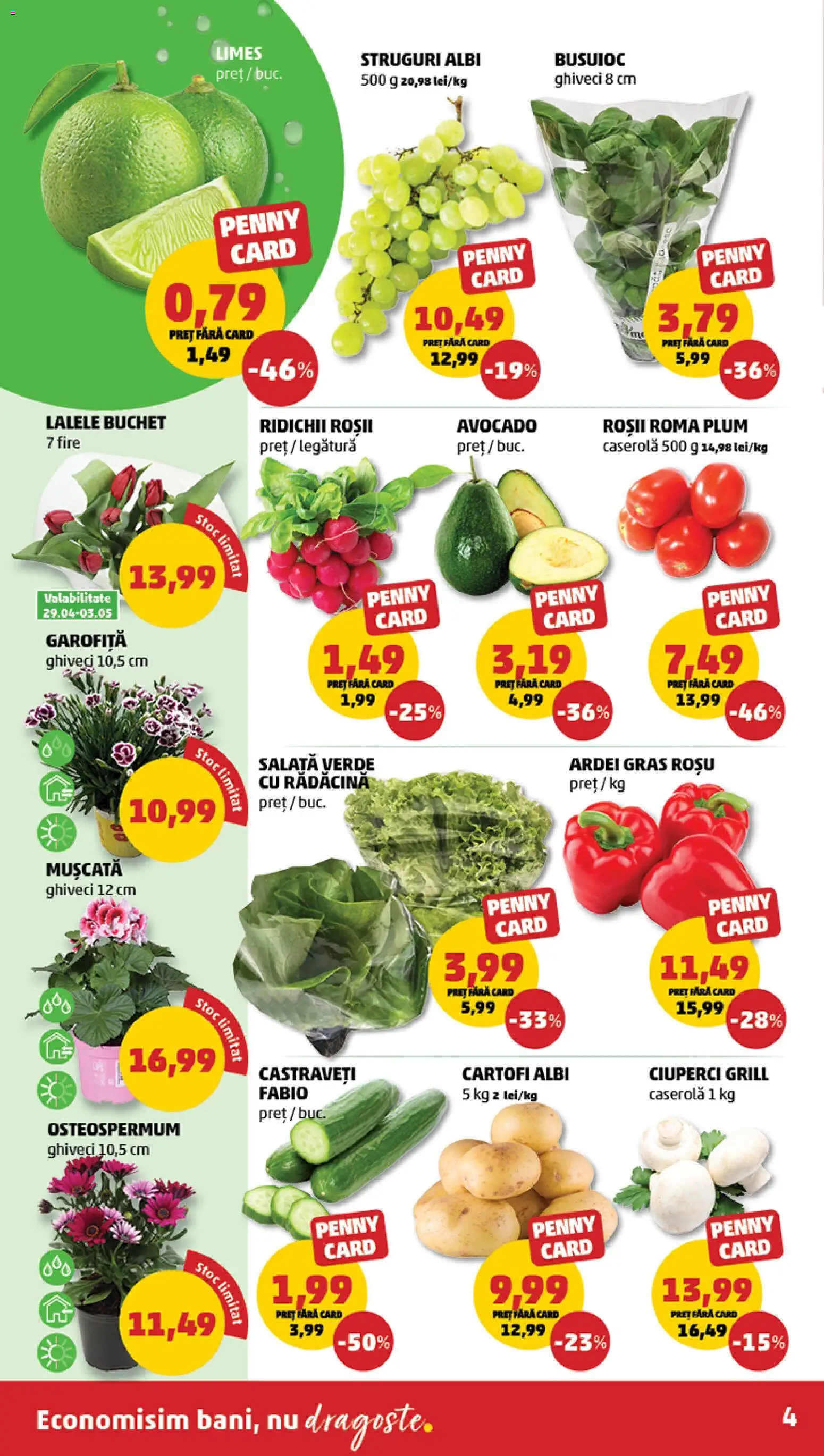 Catalog PENNY Market 29 Aprilie - 4 Mai 2026 | Pagina 4 | Produse: Grill, Ciuperci, Ardei, Salată