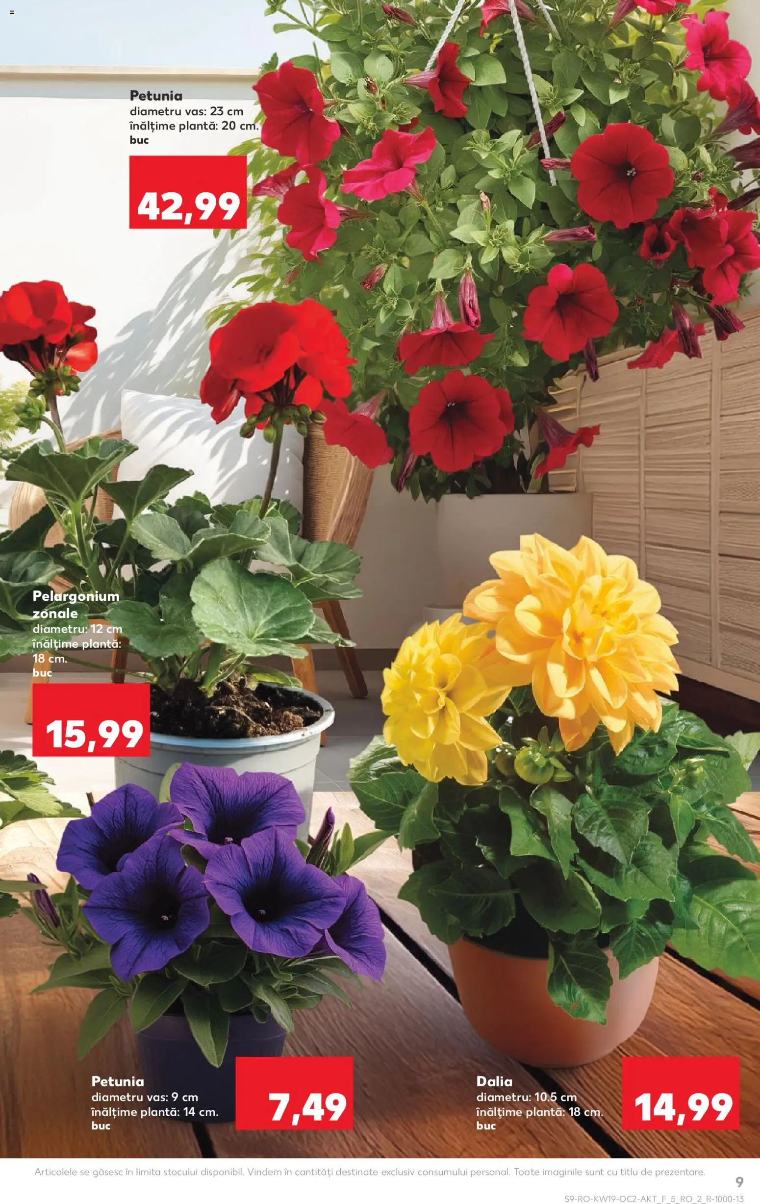 Catalog Kaufland 6 - 11 Mai 2026 | Pagina 9
