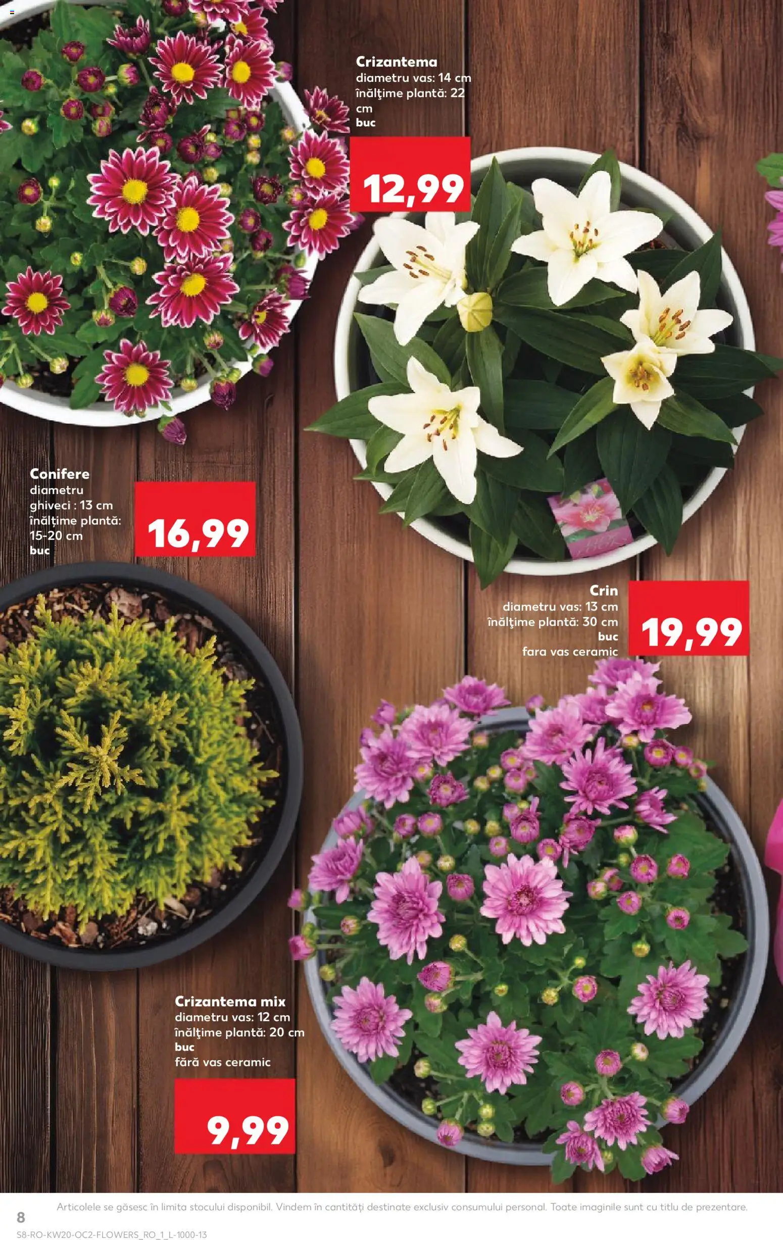 Catalog Kaufland 13 - 18 Mai 2026 | Pagina 8 | Produse: Ghiveci
