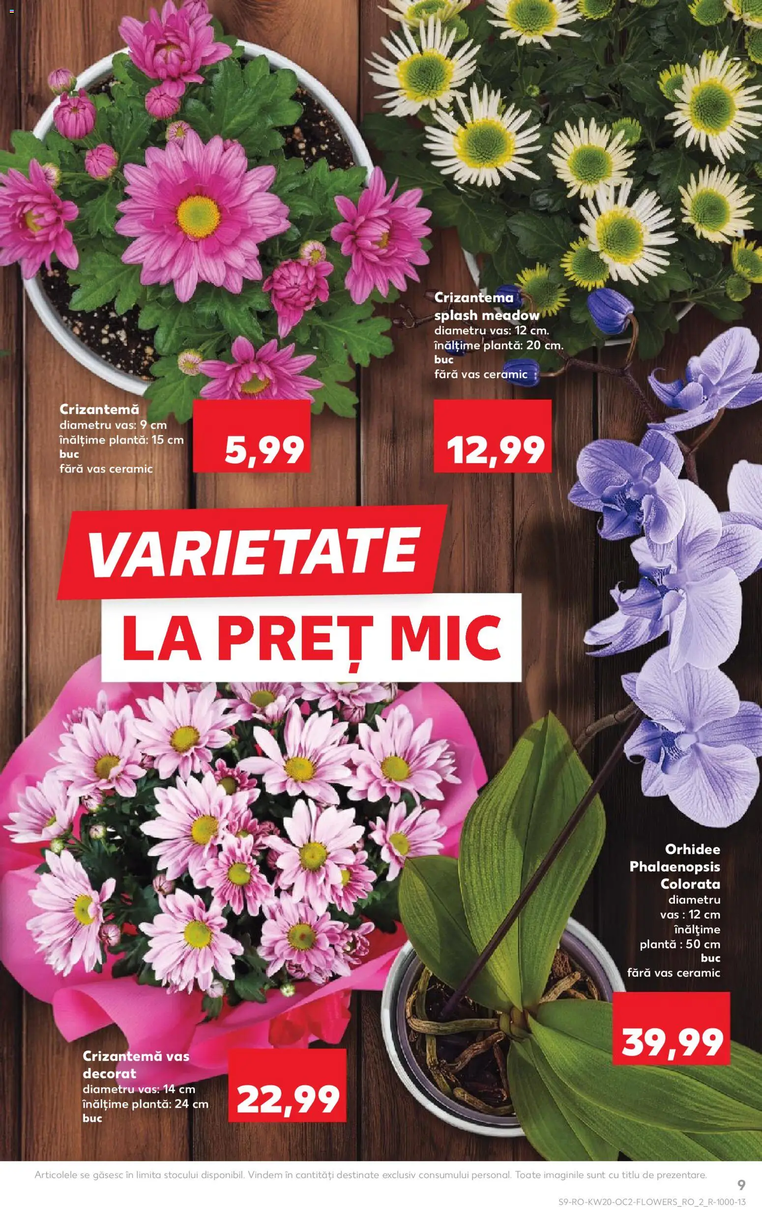 Catalog Kaufland 13 - 18 Mai 2026 | Pagina 9 | Produse: Orhidee