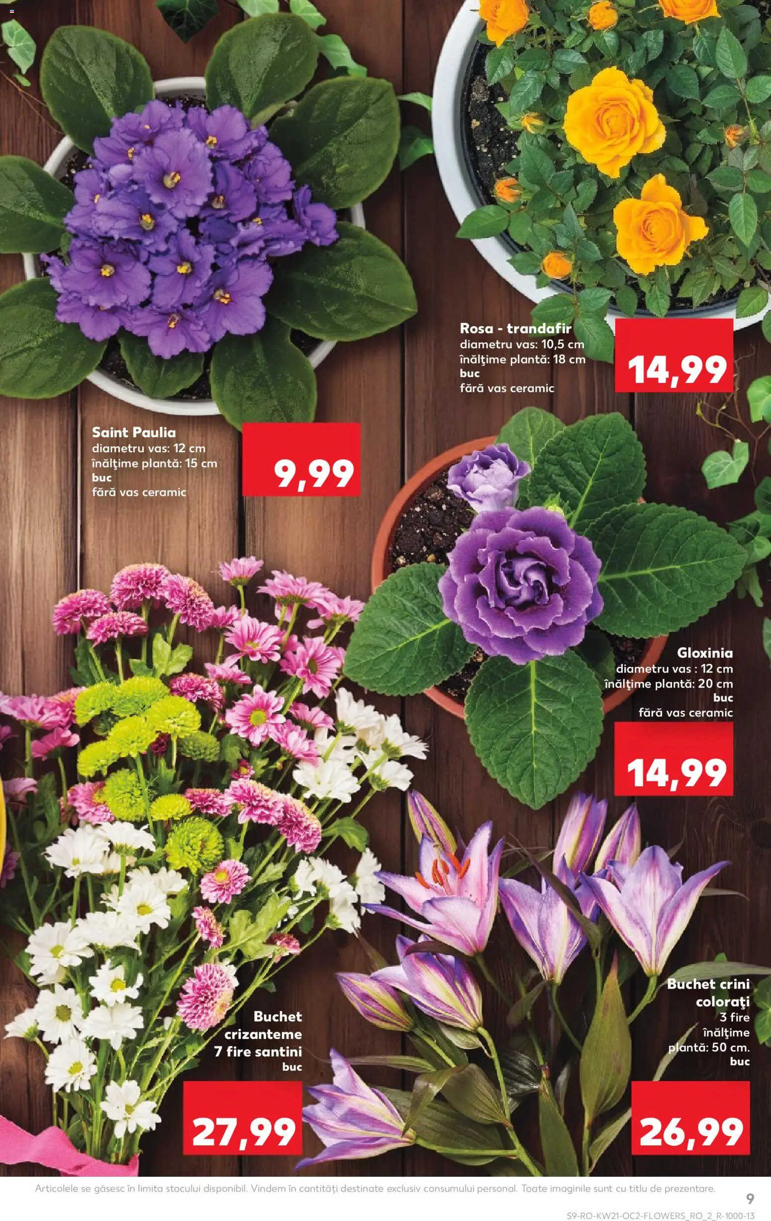 Catalog Kaufland 20 - 25 Mai 2026 | Pagina 9 | Produse: Trandafir