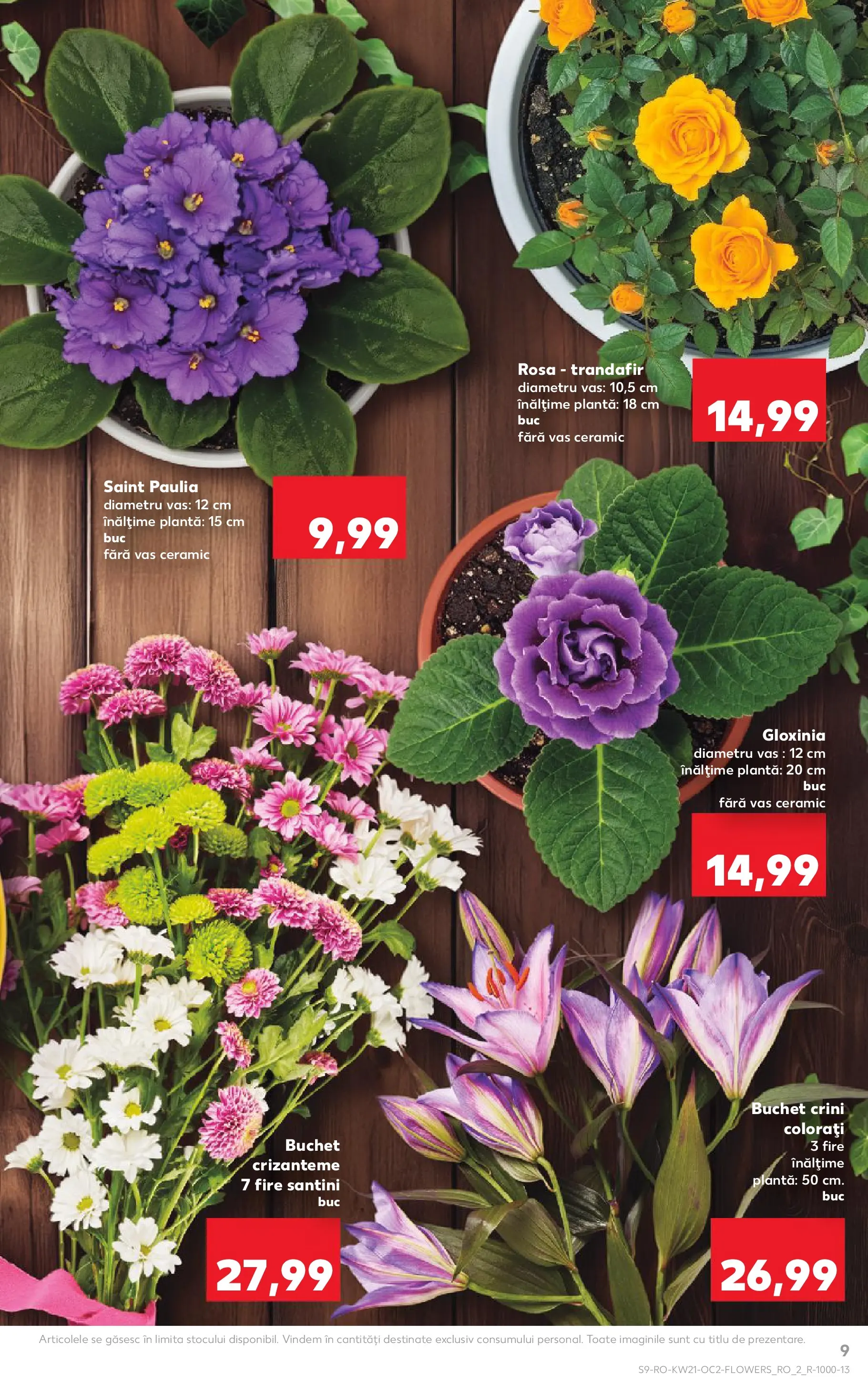 Catalog Kaufland 20 - 25 Mai 2026 | Pagina 9 | Produse: Trandafir