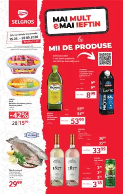 Catalog Selgros
