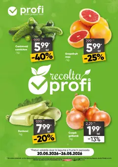 Catalog Profi