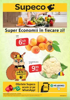 Catalog Supeco