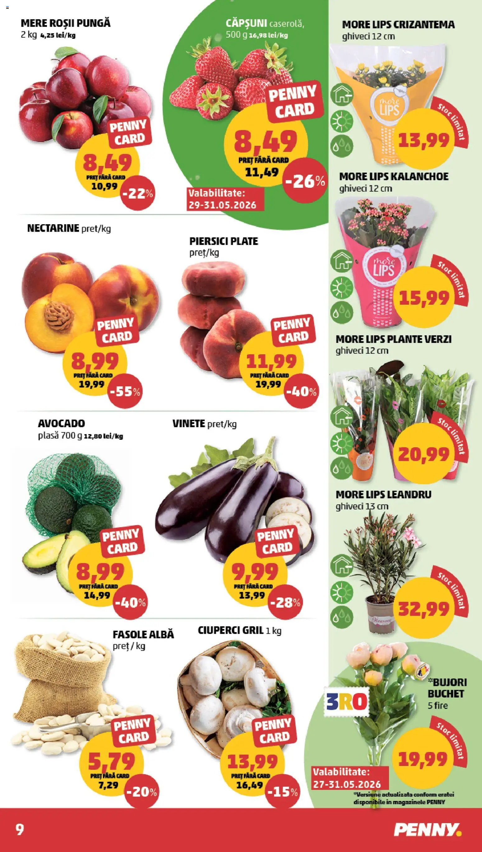 Catalog PENNY Market 27 Mai - 1 Iunie 2026 | Pagina 9 | Produse: Temizlik kovası, Mere, Avocado, Fasole albă