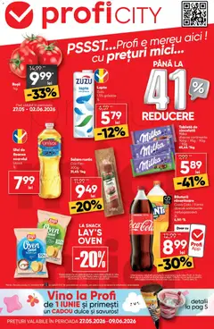 Catalog Profi