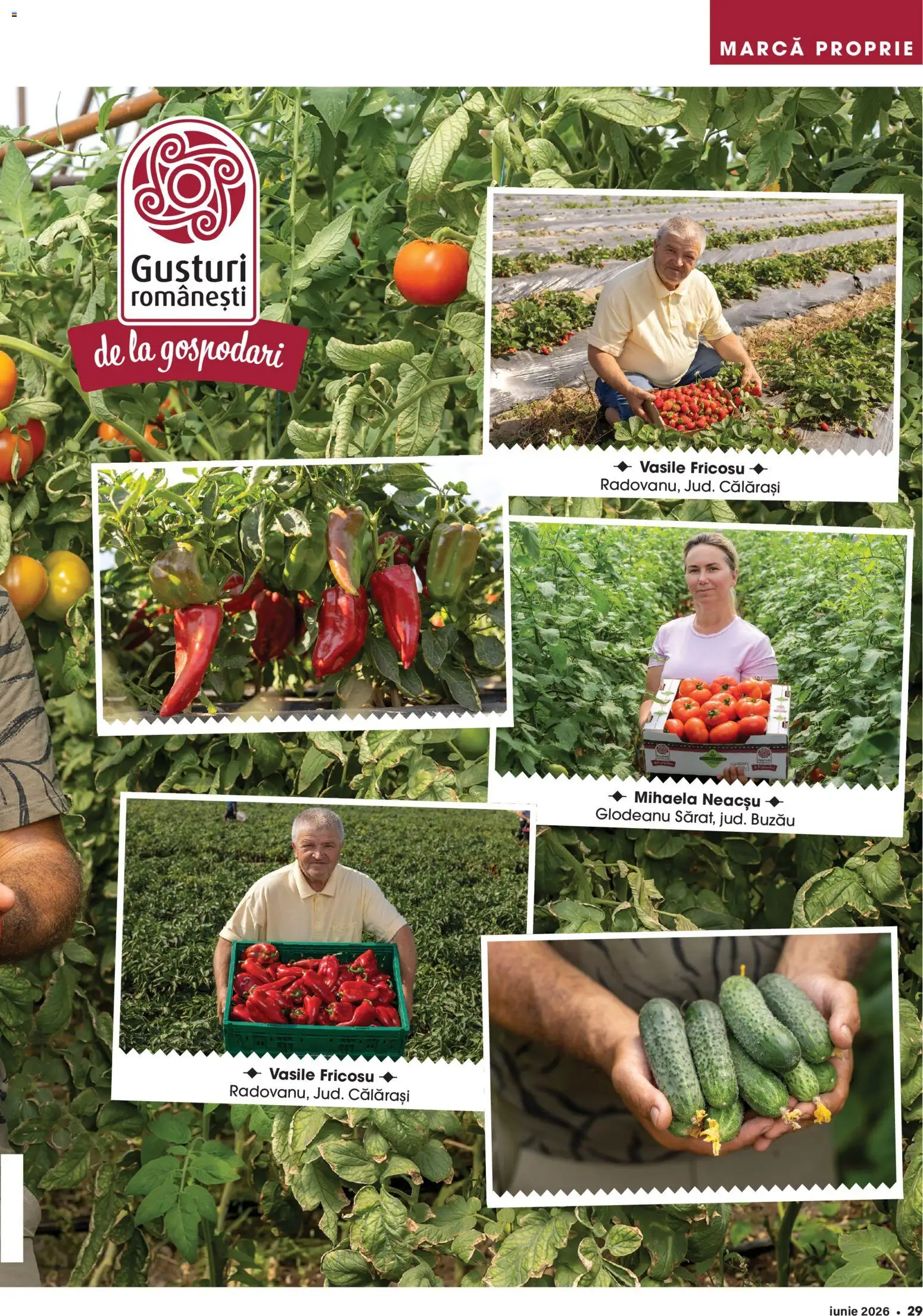 Catalog Mega Image 28 Mai - 29 Iunie 2026 | Pagina 29
