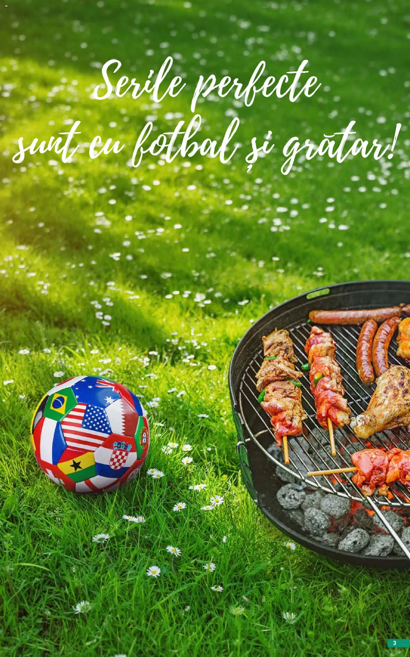 Catalog Selgros 29 Mai - 24 Iunie 2026 | Pagina 3 | Produse: Grătar