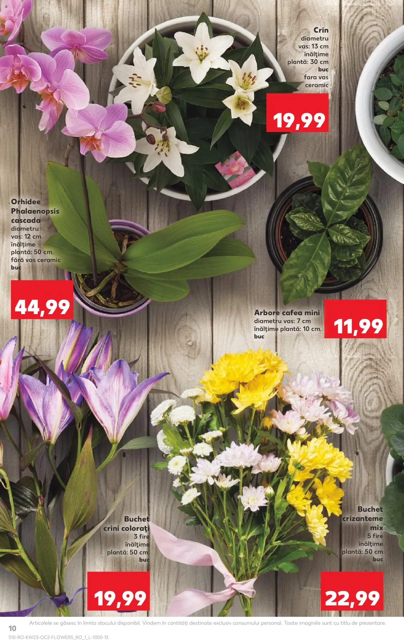Catalog Kaufland 3 - 8 Iunie 2026 | Pagina 10 | Produse: Orhidee, Cafea