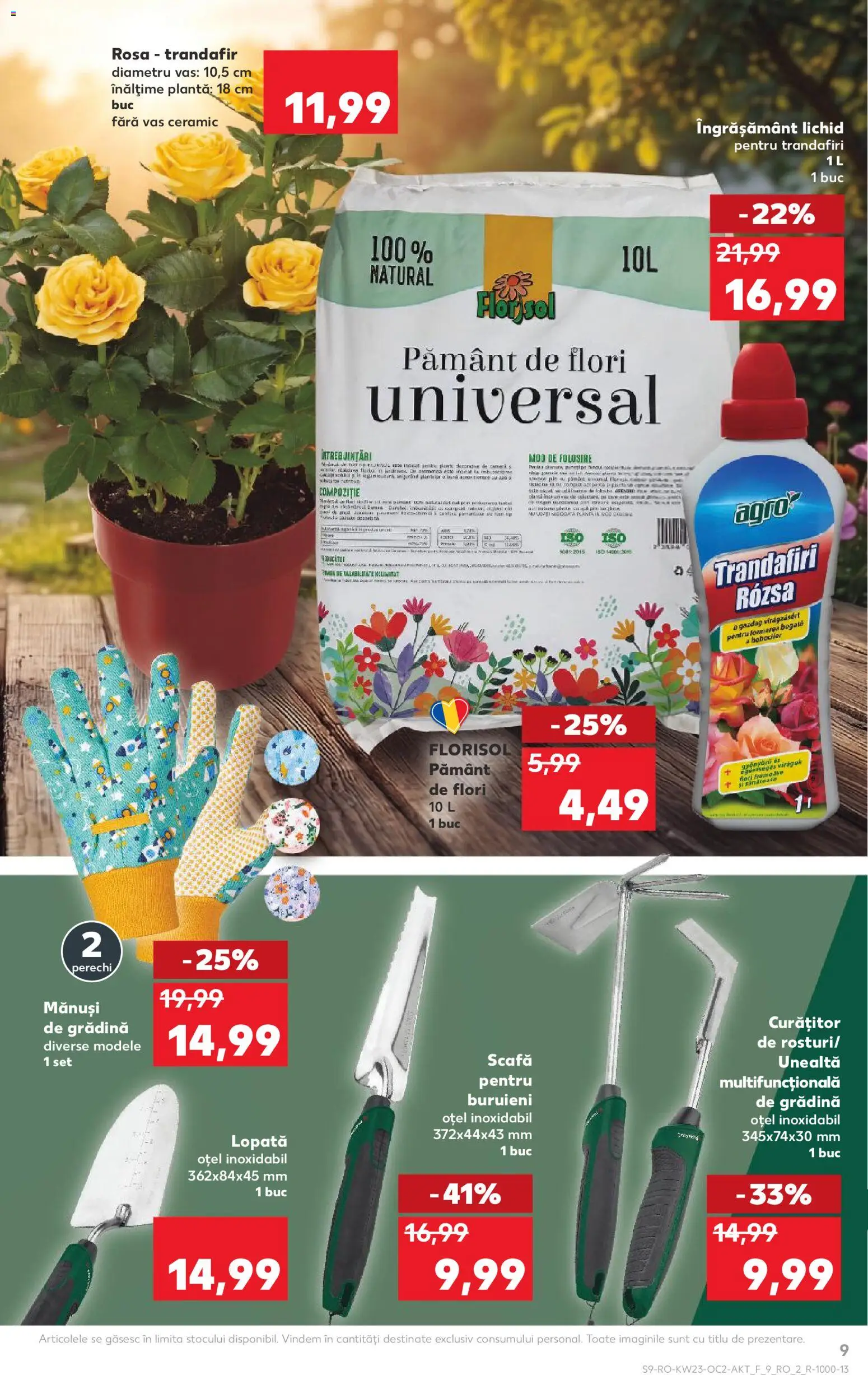 Catalog Kaufland 3 - 8 Iunie 2026 | Pagina 9 | Produse: Mănuși, Trandafir