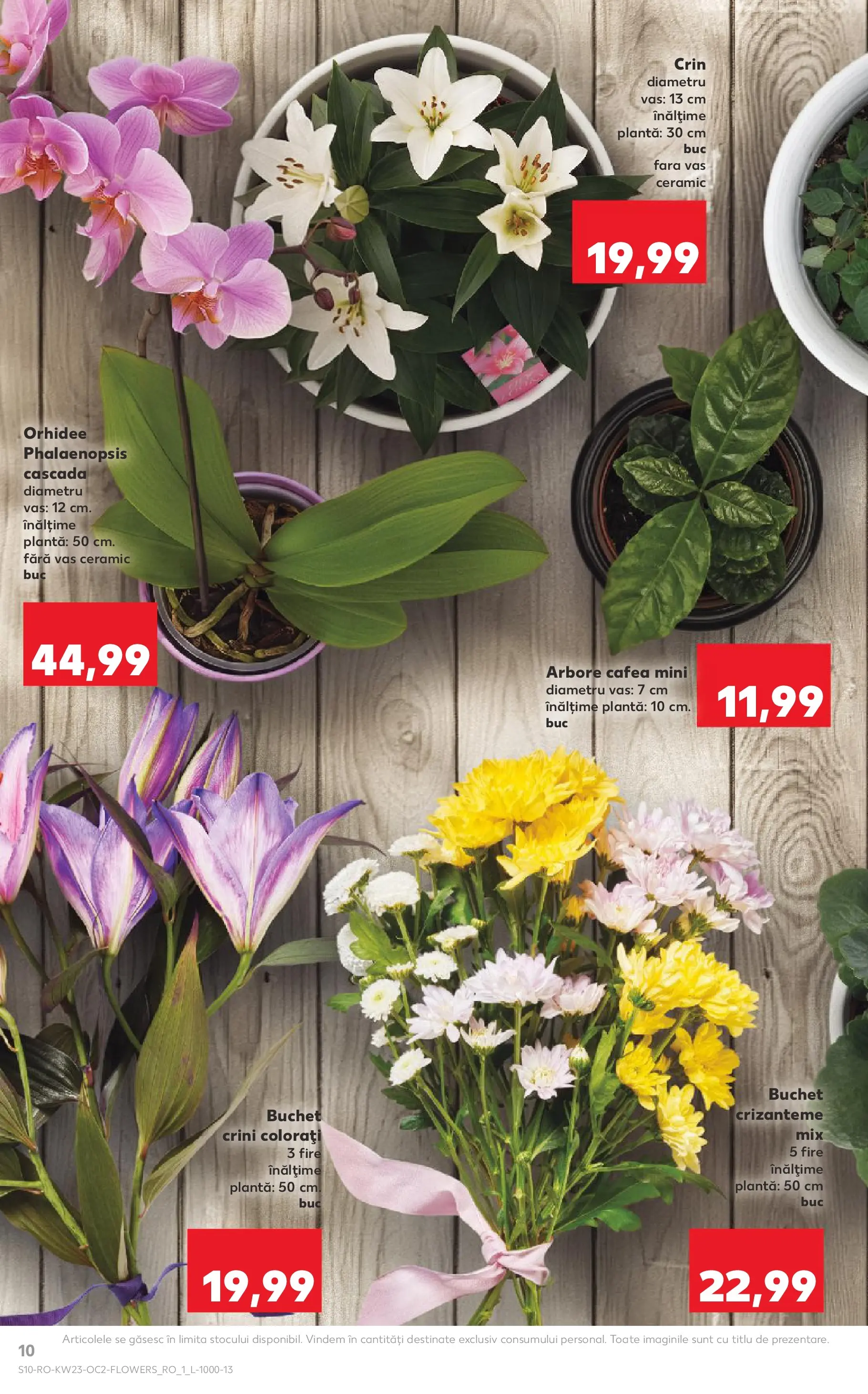 Catalog Kaufland 3 - 8 Iunie 2026 | Pagina 10 | Produse: Orhidee, Cafea
