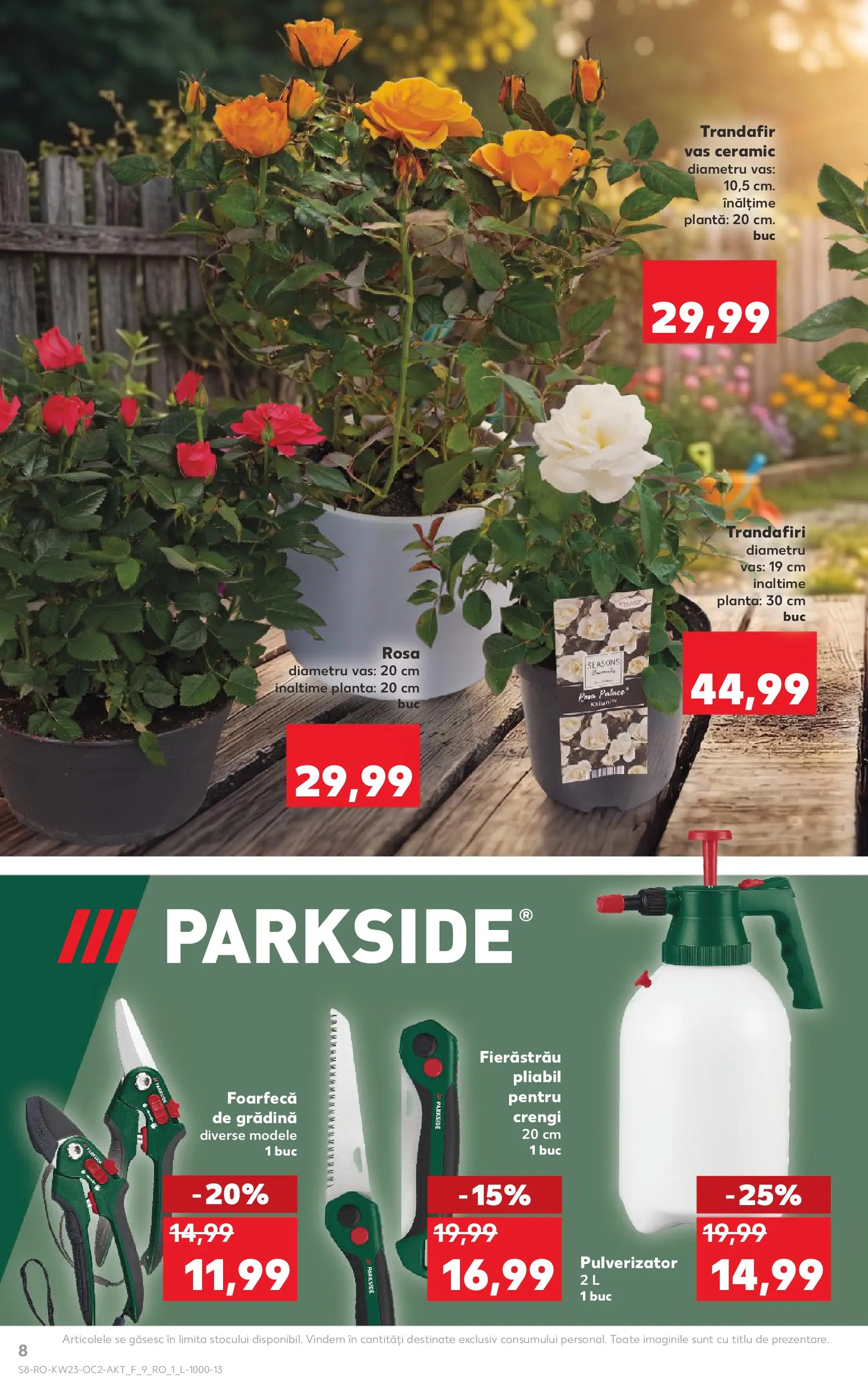 Catalog Kaufland 3 - 8 Iunie 2026 | Pagina 8 | Produse: Trandafir