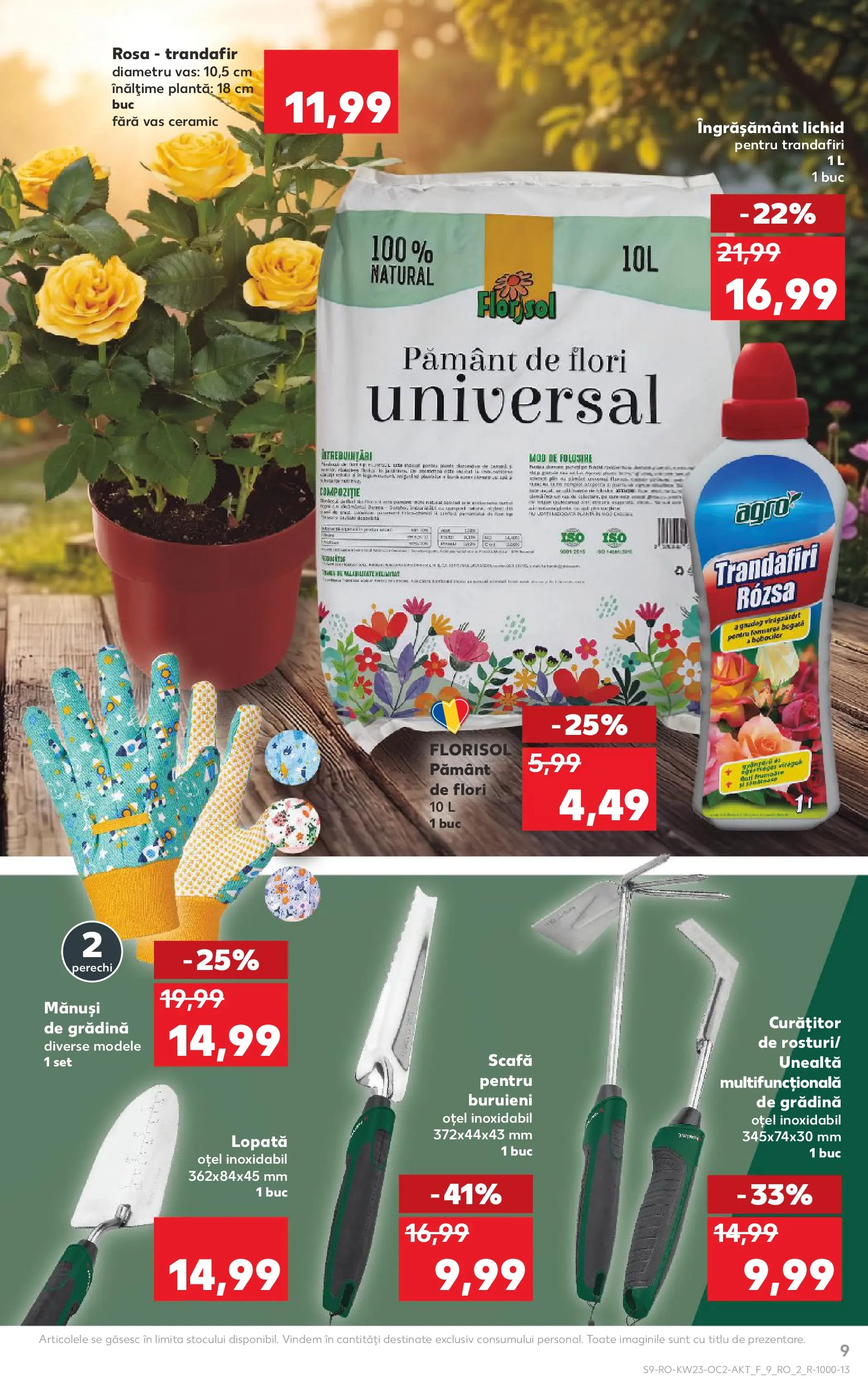 Catalog Kaufland 3 - 8 Iunie 2026 | Pagina 9 | Produse: Mănuși, Trandafir