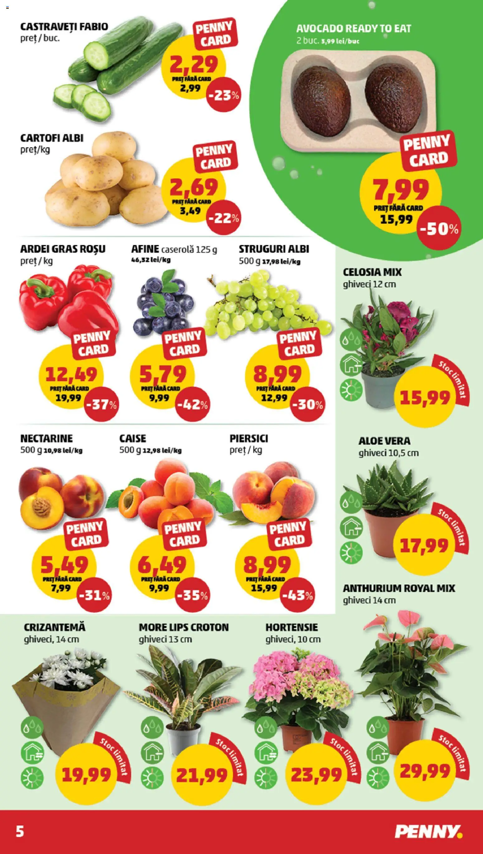 Catalog PENNY Market 3 - 8 Iunie 2026 | Pagina 5