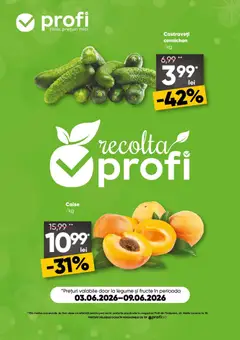 Catalog Profi