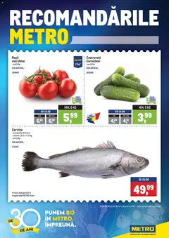 Catalog METRO
