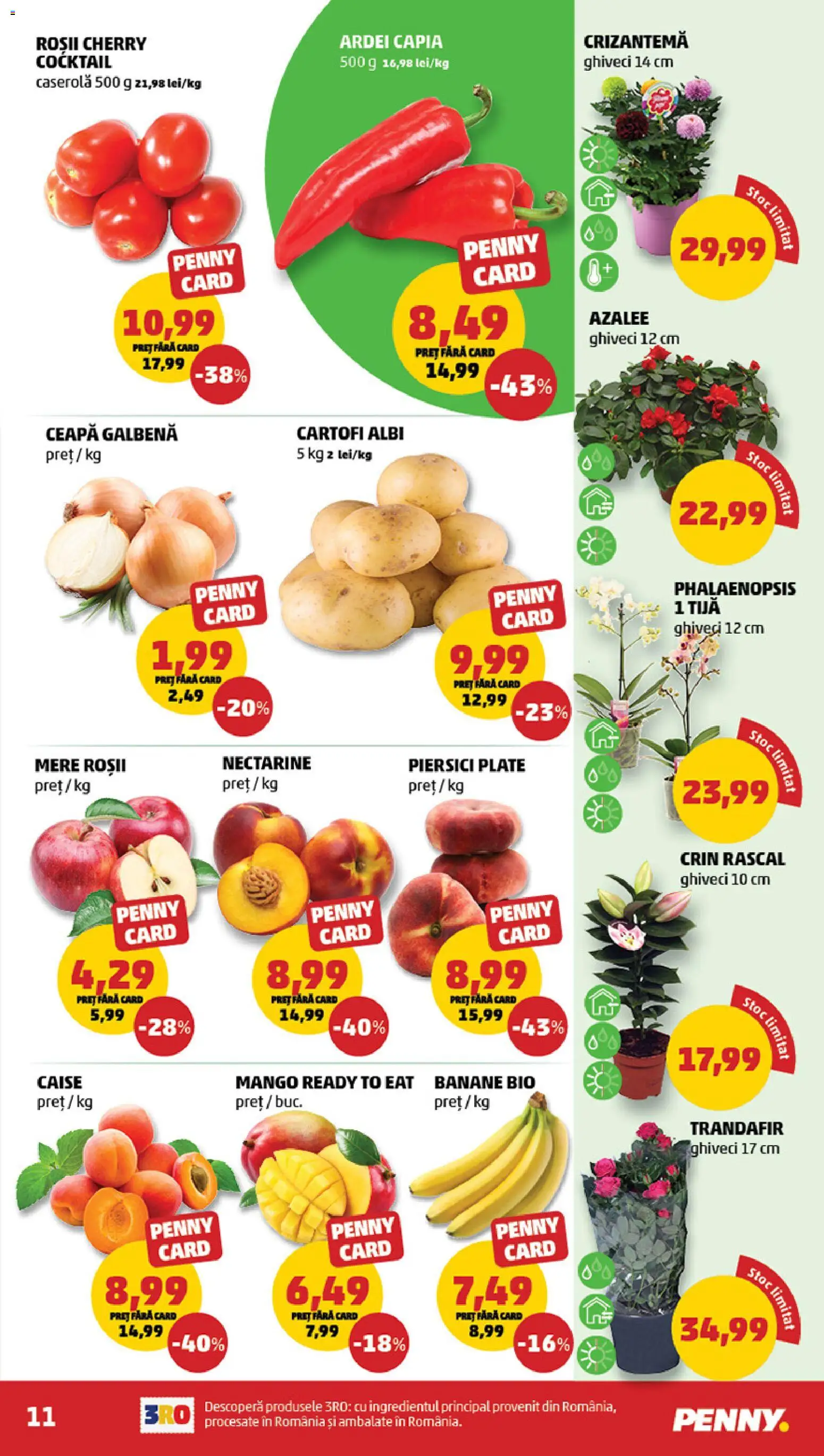 Catalog PENNY Market 10 - 15 Iunie 2026 | Pagina 11 | Produse: Şerit ödül, Ghiveci, Mere, Cocktail