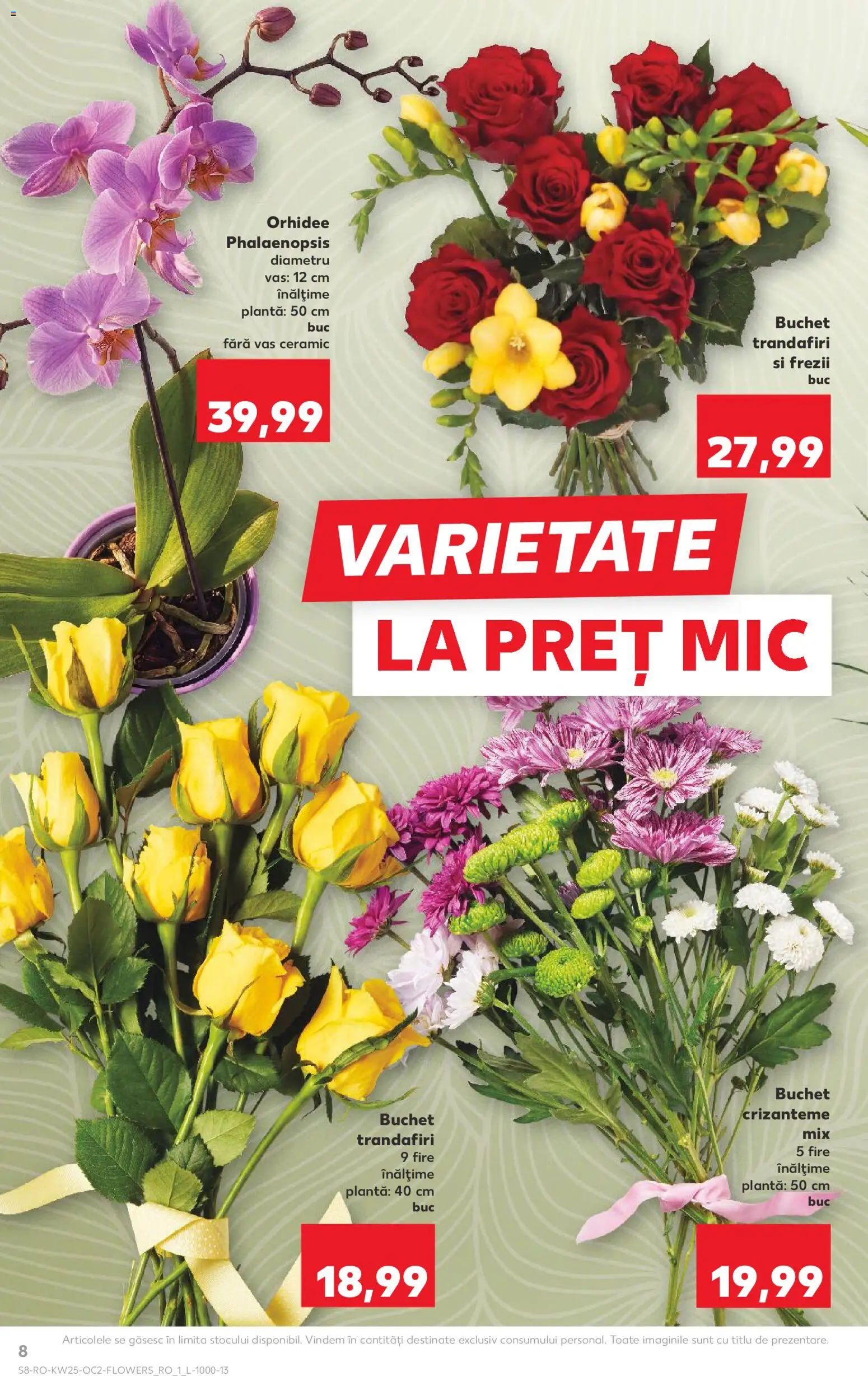 Catalog Kaufland 17 - 22 Iunie 2026 | Pagina 8 | Produse: Orhidee