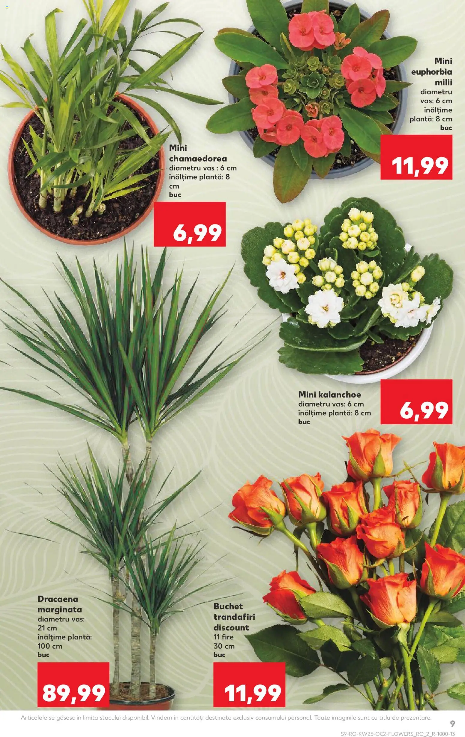 Catalog Kaufland 17 - 22 Iunie 2026 | Pagina 9