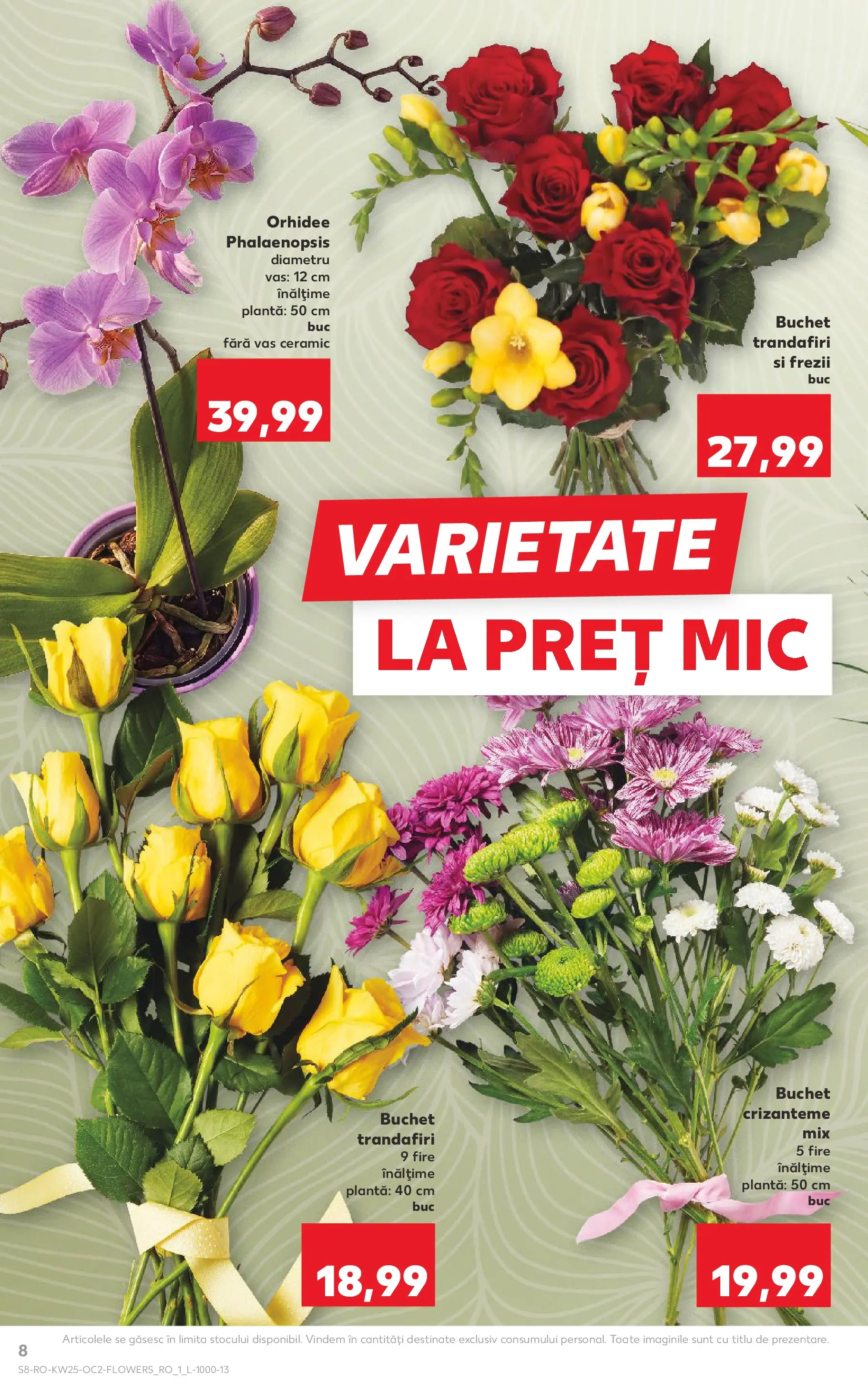 Catalog Kaufland 17 - 22 Iunie 2026 | Pagina 8 | Produse: Orhidee