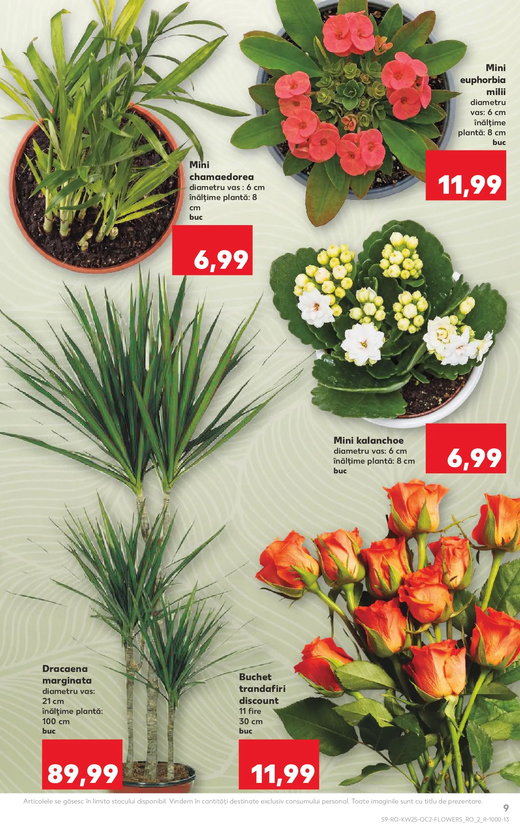 Catalog Kaufland 17 - 22 Iunie 2026 | Pagina 9