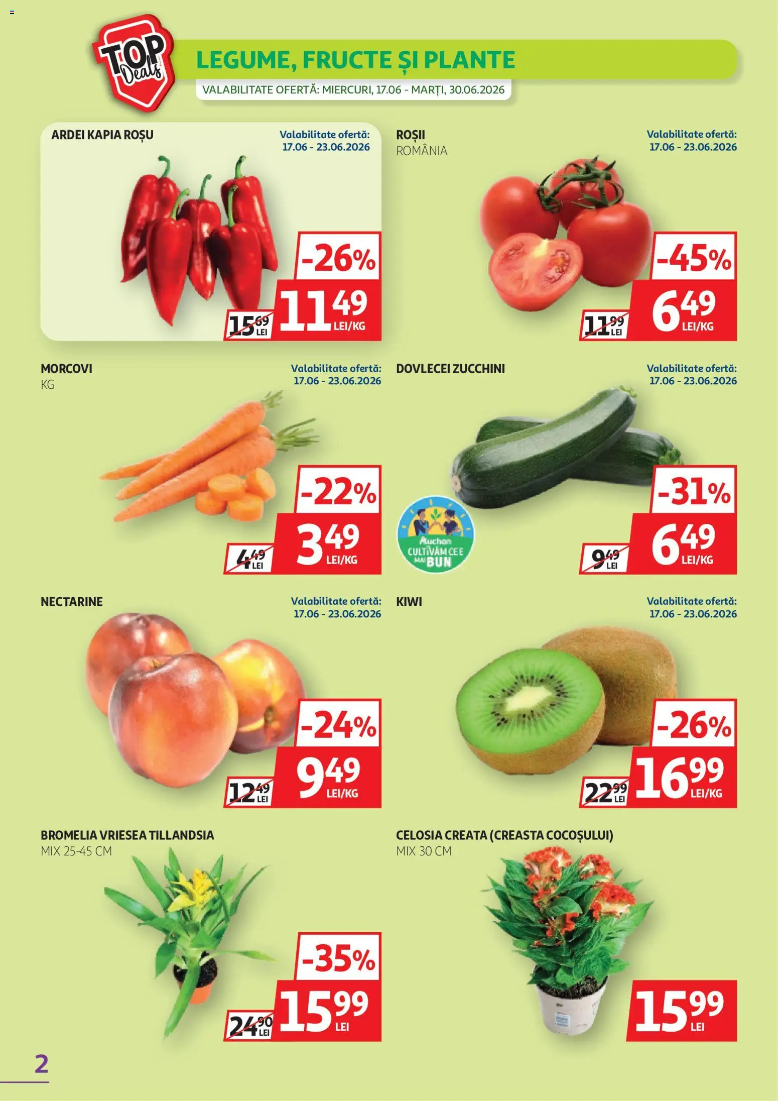 Catalog Auchan 17 - 29 Iunie 2026 | Pagina 2 | Produse: Temizlik kovası, Kiwi, Morcovi, Fructe