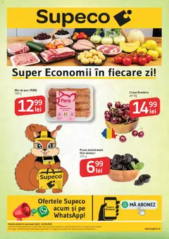 Catalog Supeco