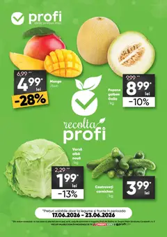 Catalog Profi