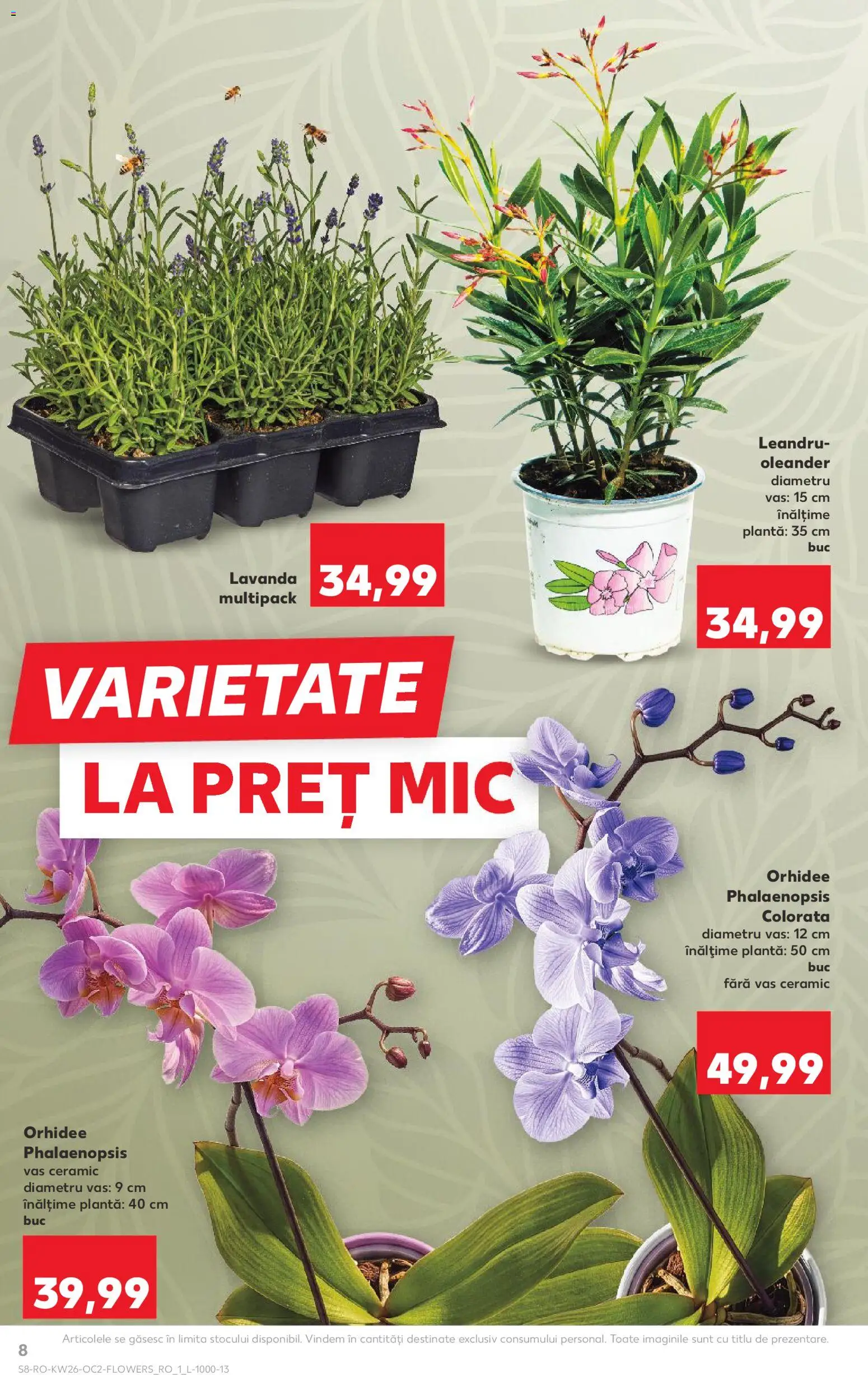 Catalog Kaufland 24 - 29 Iunie 2026 | Pagina 8