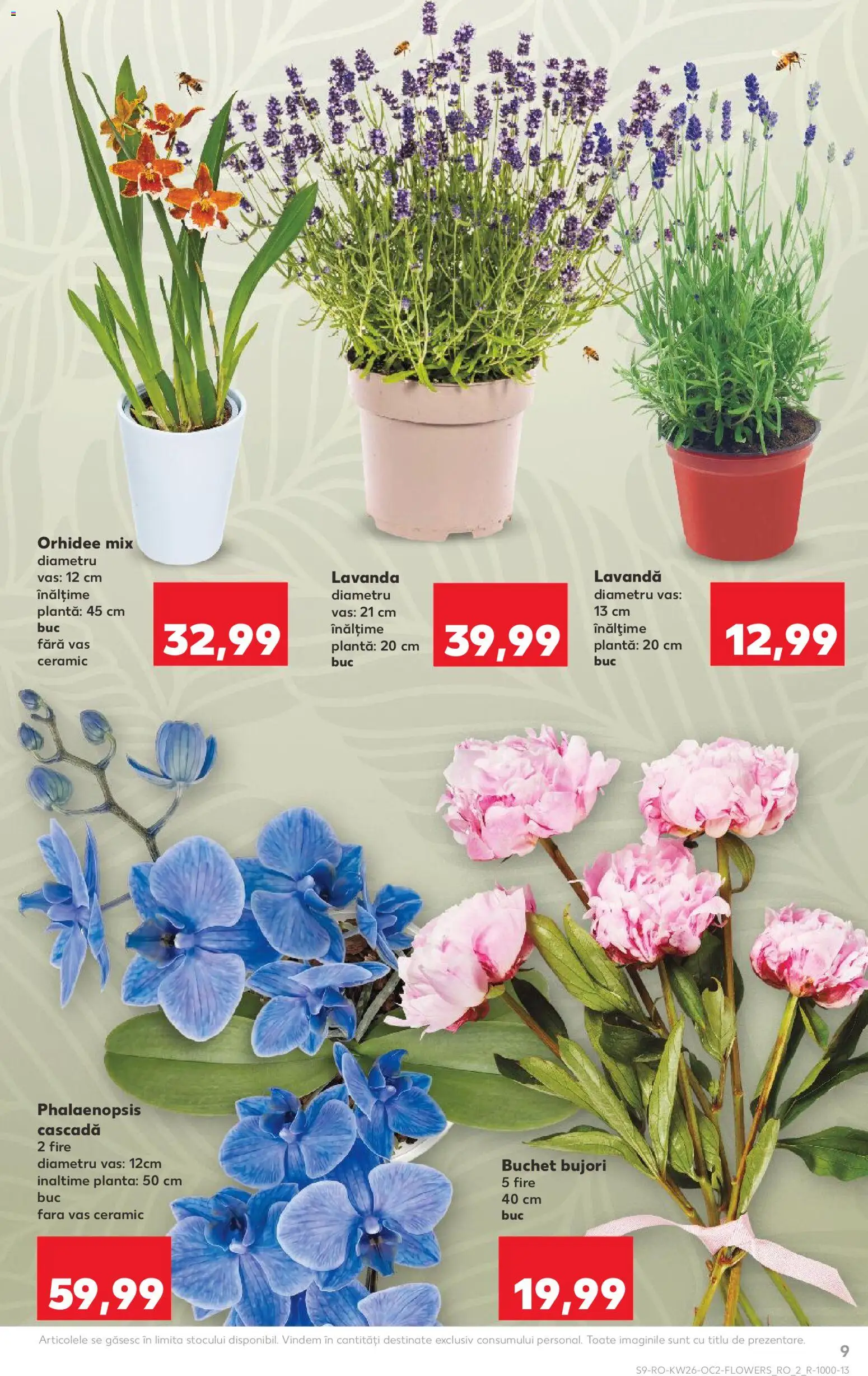 Catalog Kaufland 24 - 29 Iunie 2026 | Pagina 9
