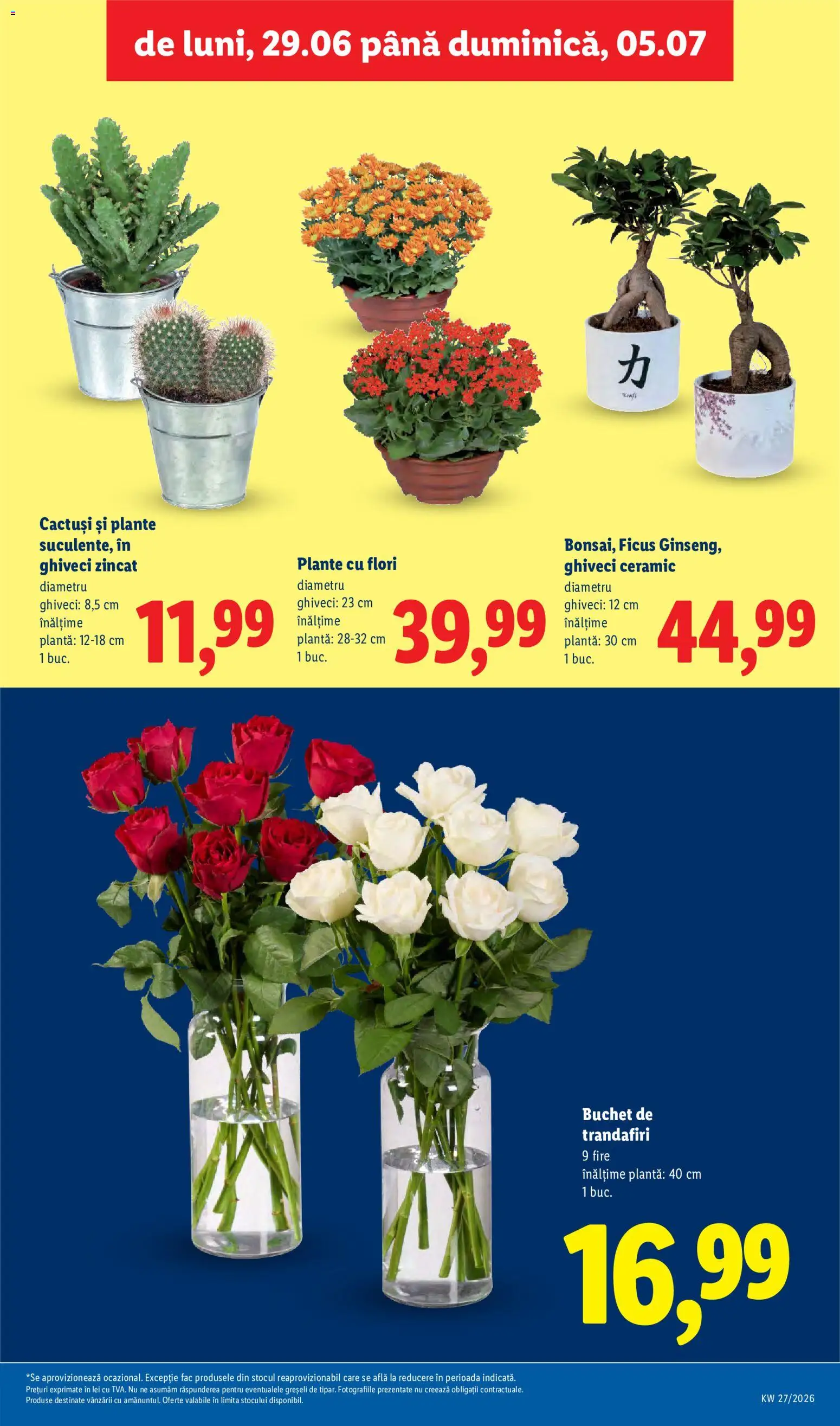 Catalog LIDL 29 Iunie - 4 Iulie 2026 | Pagina 55 | Produse: Ghiveci