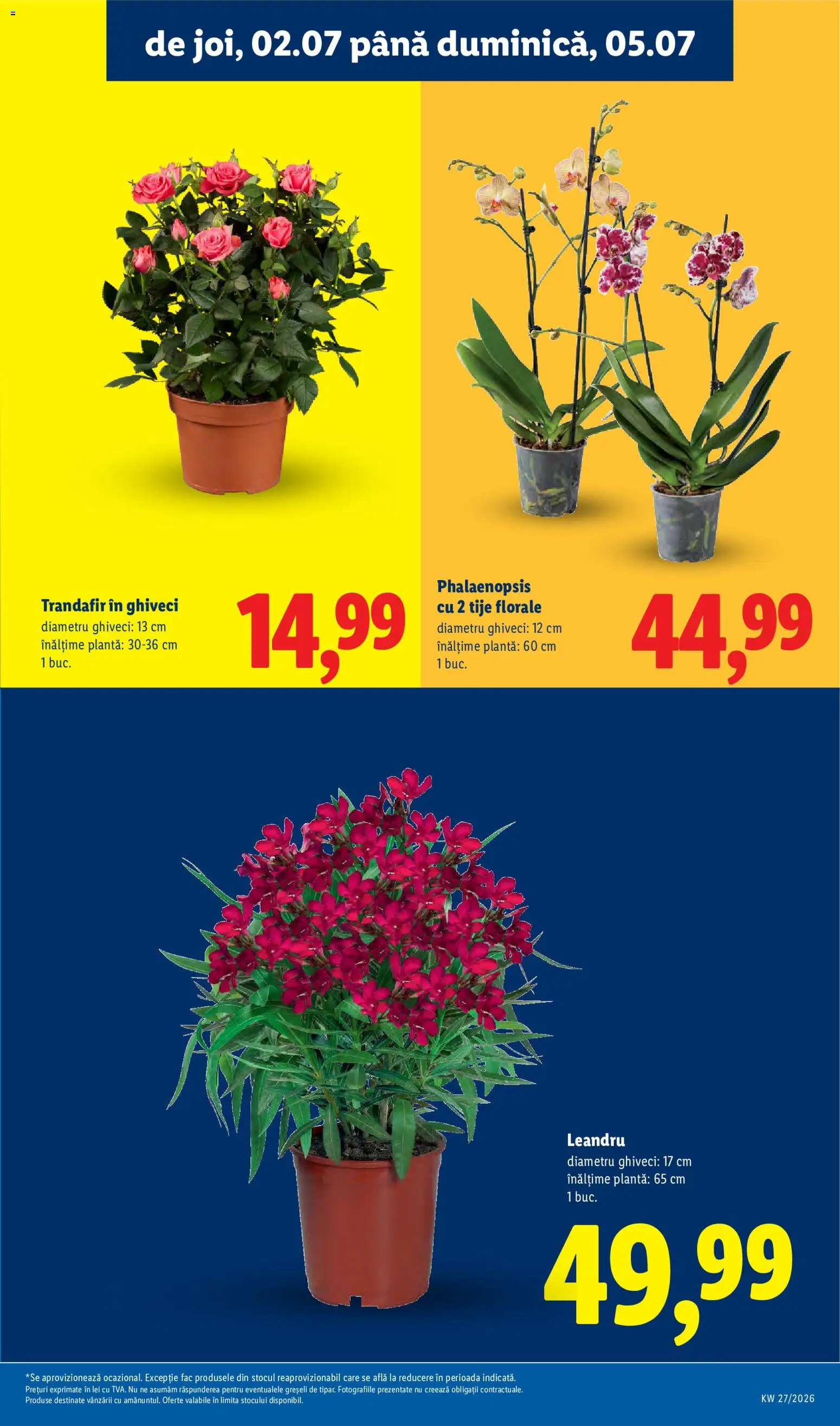 Catalog LIDL 29 Iunie - 4 Iulie 2026 | Pagina 57 | Produse: Trandafir, Ghiveci