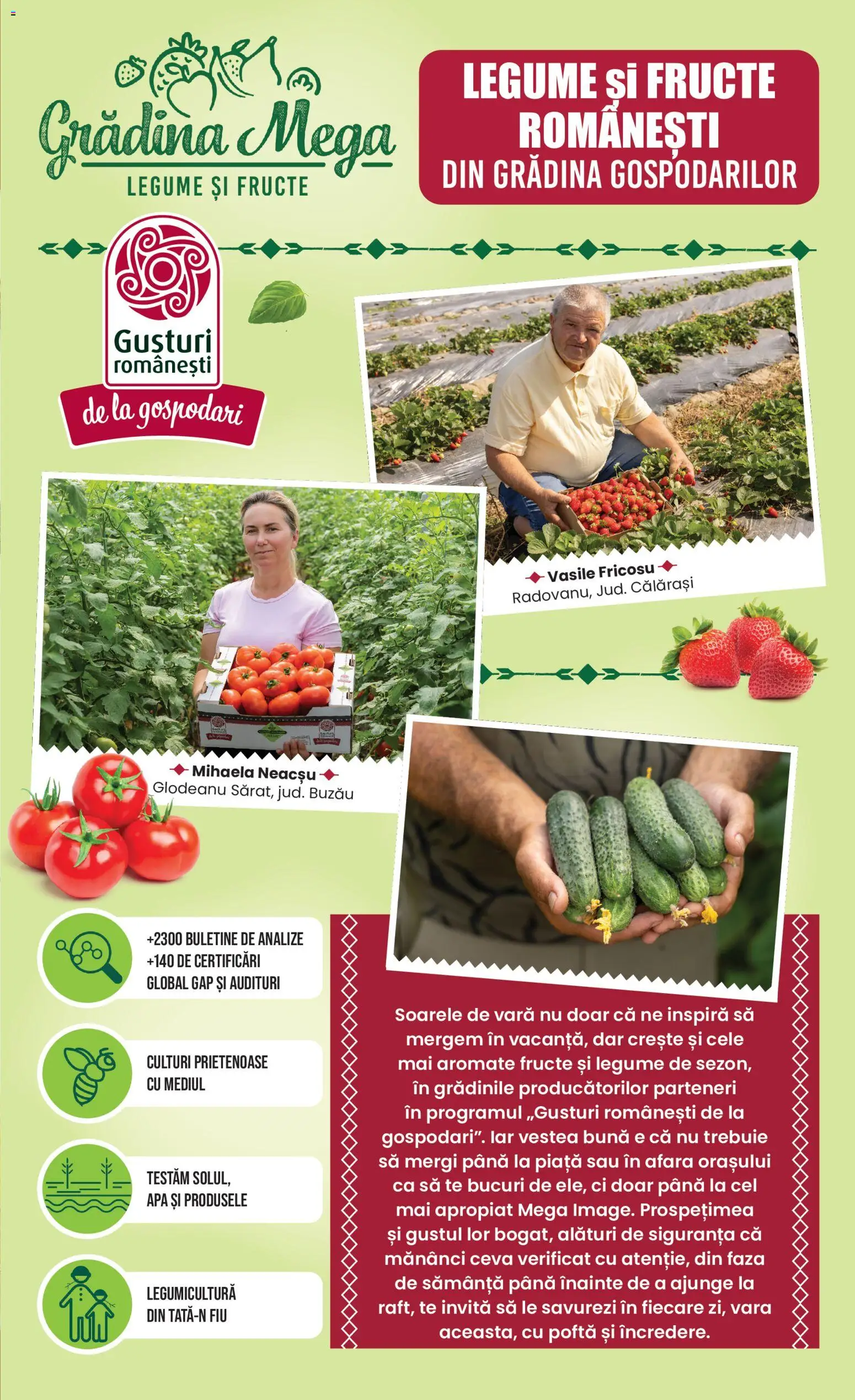 Catalog Mega Image 25 - 30 Iunie 2026 | Pagina 11 | Produse: Apă, Legume, Fructe