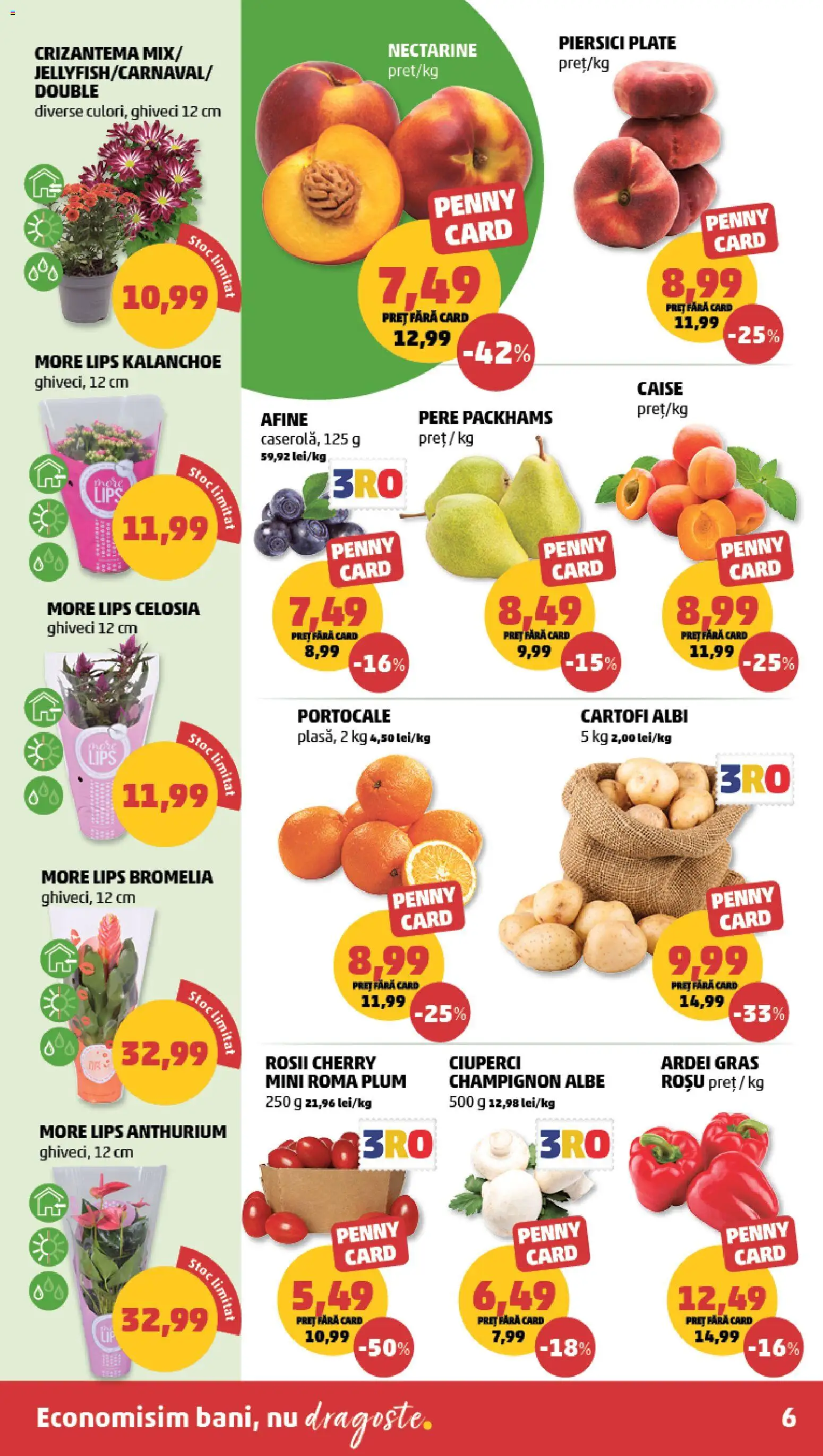 Catalog PENNY Market 24 - 29 Iunie 2026 | Pagina 6 | Produse: Ghiveci, Ardei, Roșii, Ahtapot
