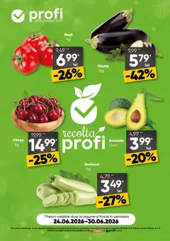 Catalog Profi