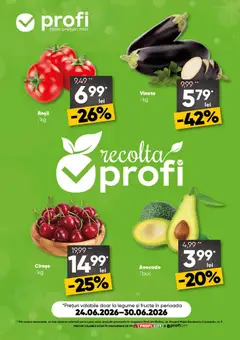 Catalog Profi