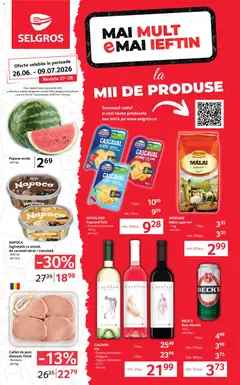 Catalog Selgros
